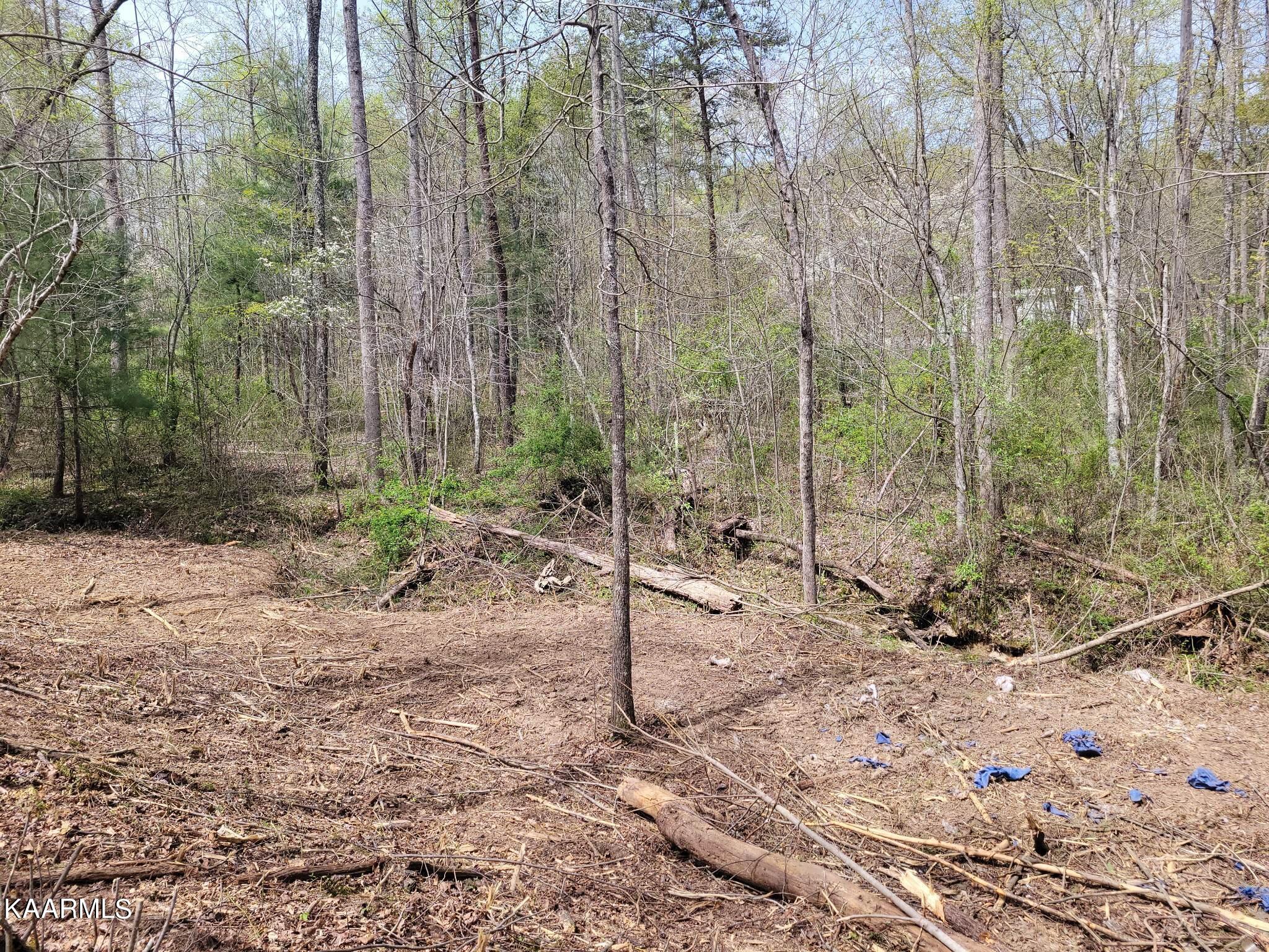 1386 Old Deerlodge Pike Deer Lodge TN 37726
