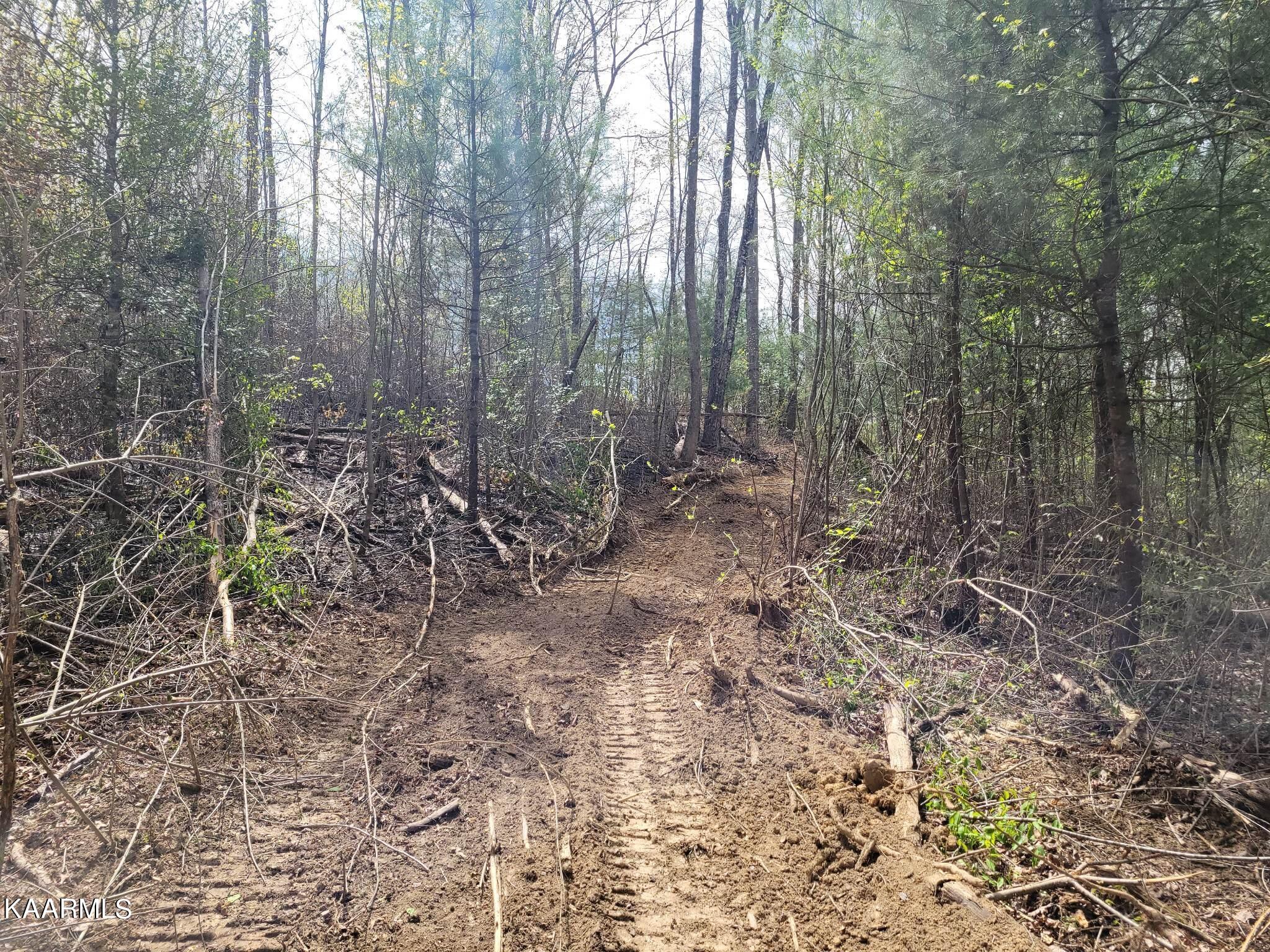 1386 Old Deerlodge Pike Deer Lodge TN 37726