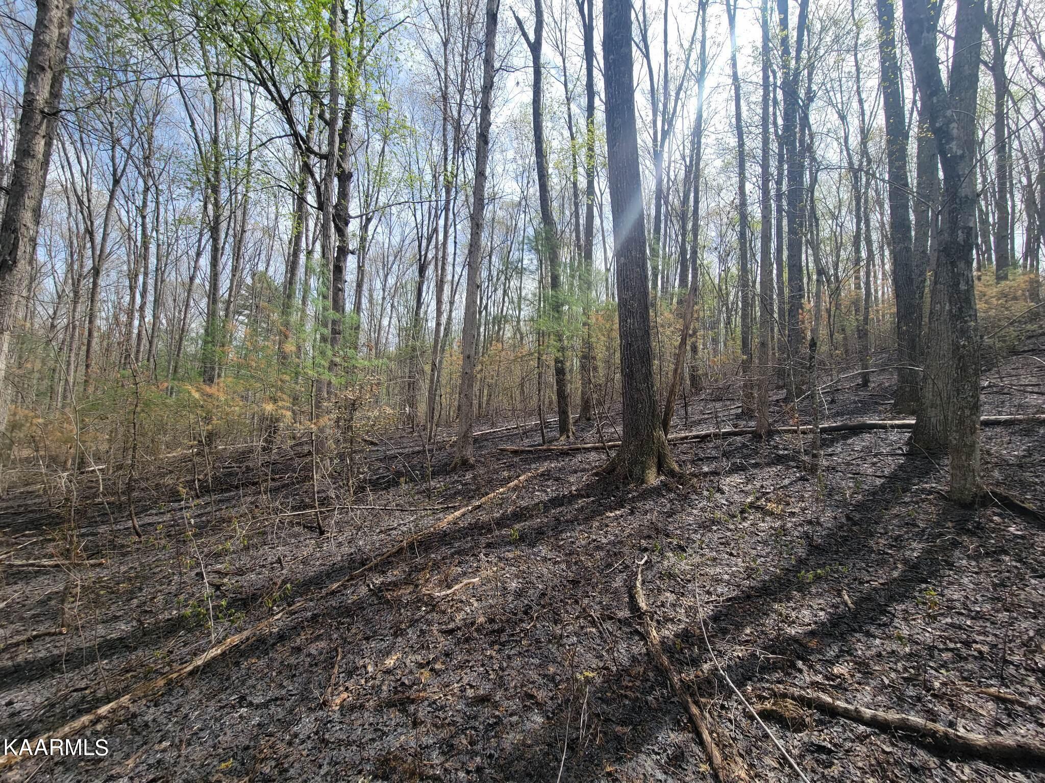 1386 Old Deerlodge Pike Deer Lodge TN 37726