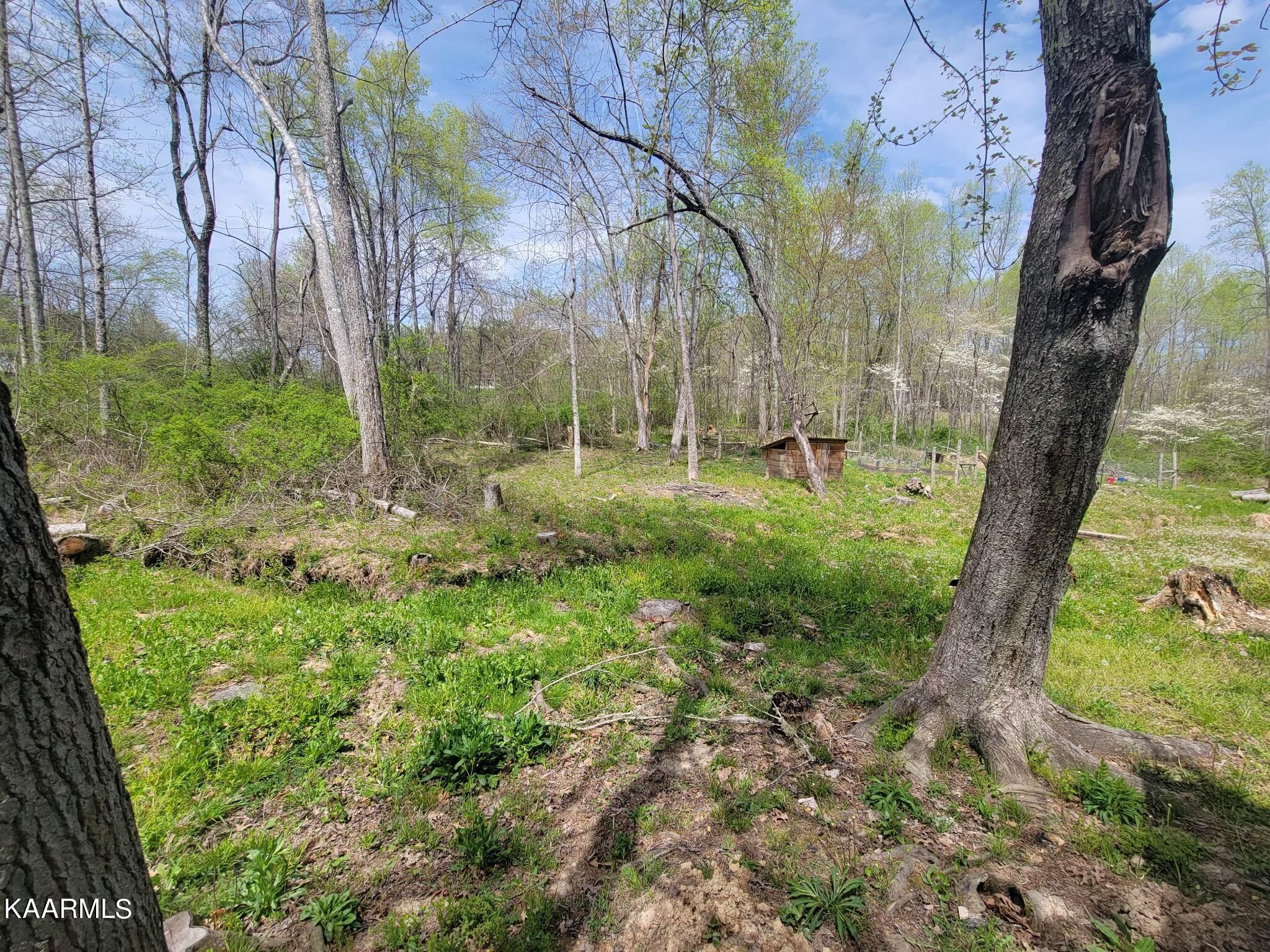 1386 Old Deerlodge Pike Deer Lodge TN 37726