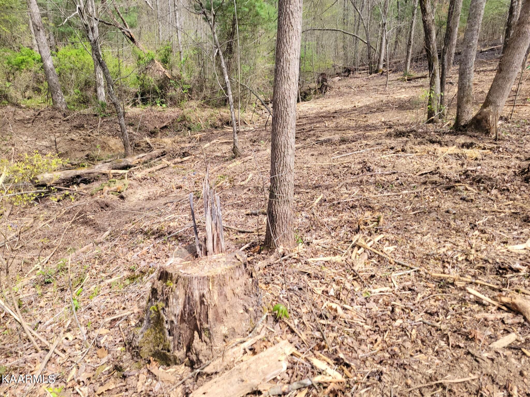 1386 Old Deerlodge Pike Deer Lodge TN 37726