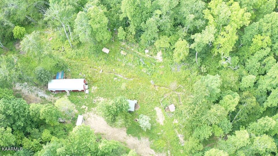 1386 Old Deerlodge Pike Deer Lodge TN 37726