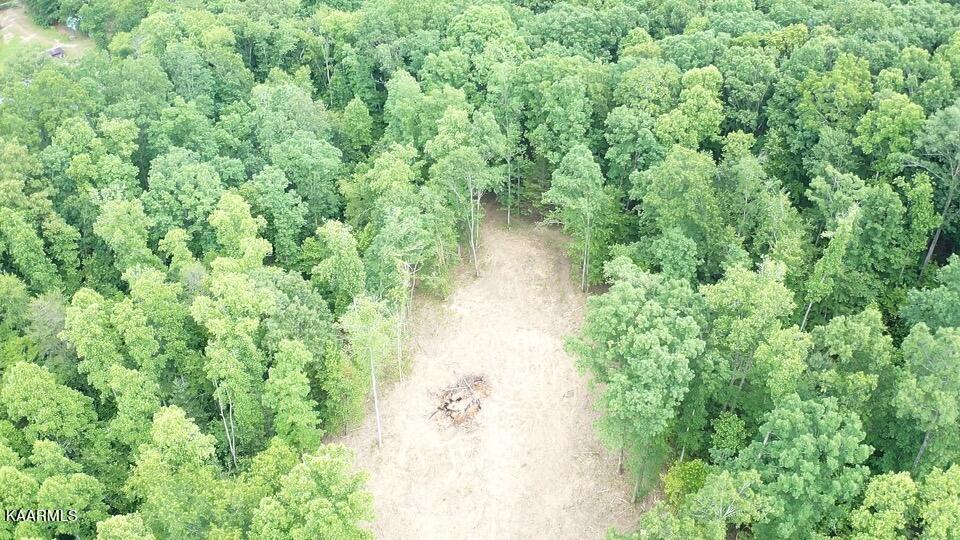 1386 Old Deerlodge Pike Deer Lodge TN 37726