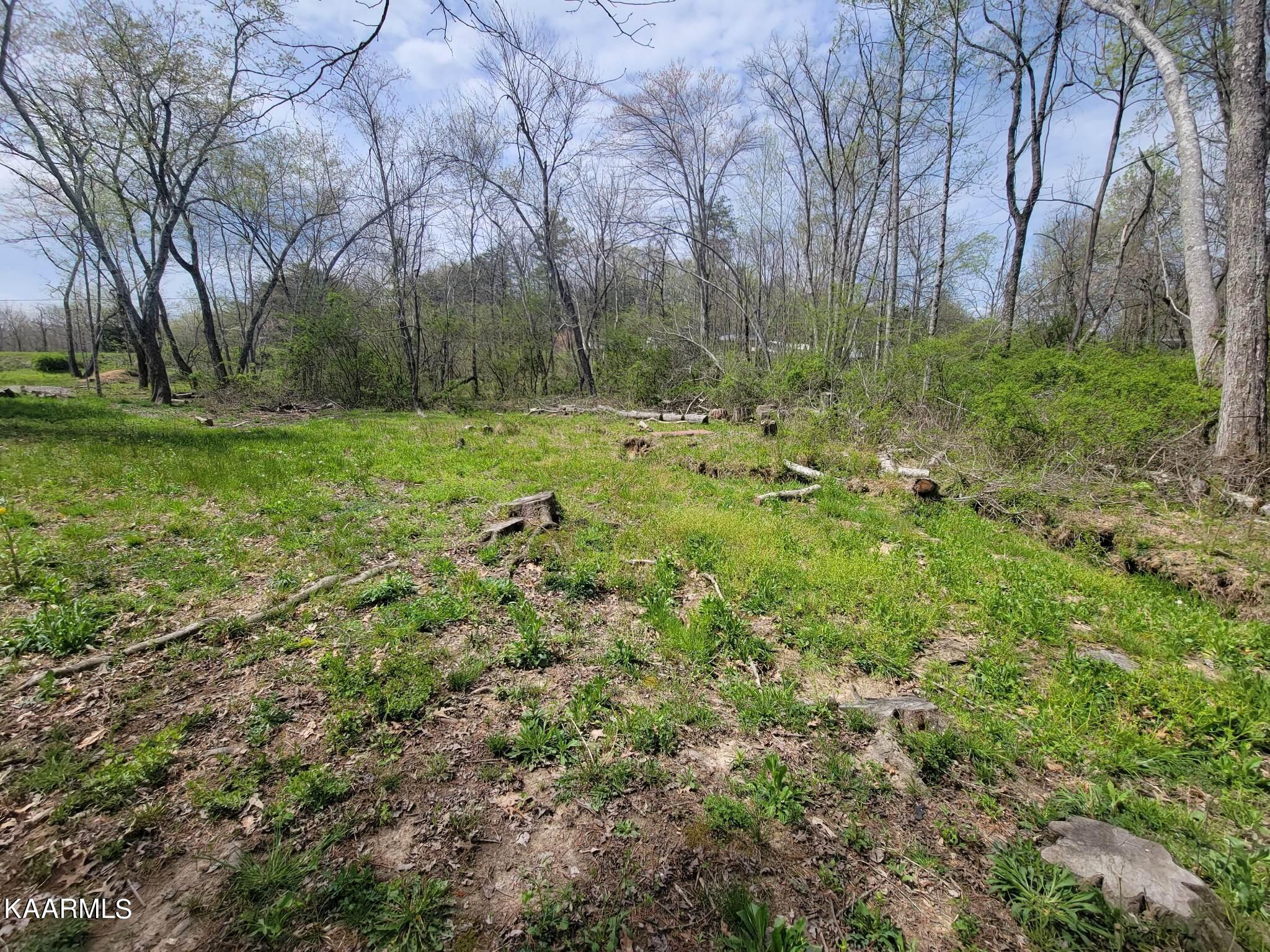 1386 Old Deerlodge Pike Deer Lodge TN 37726