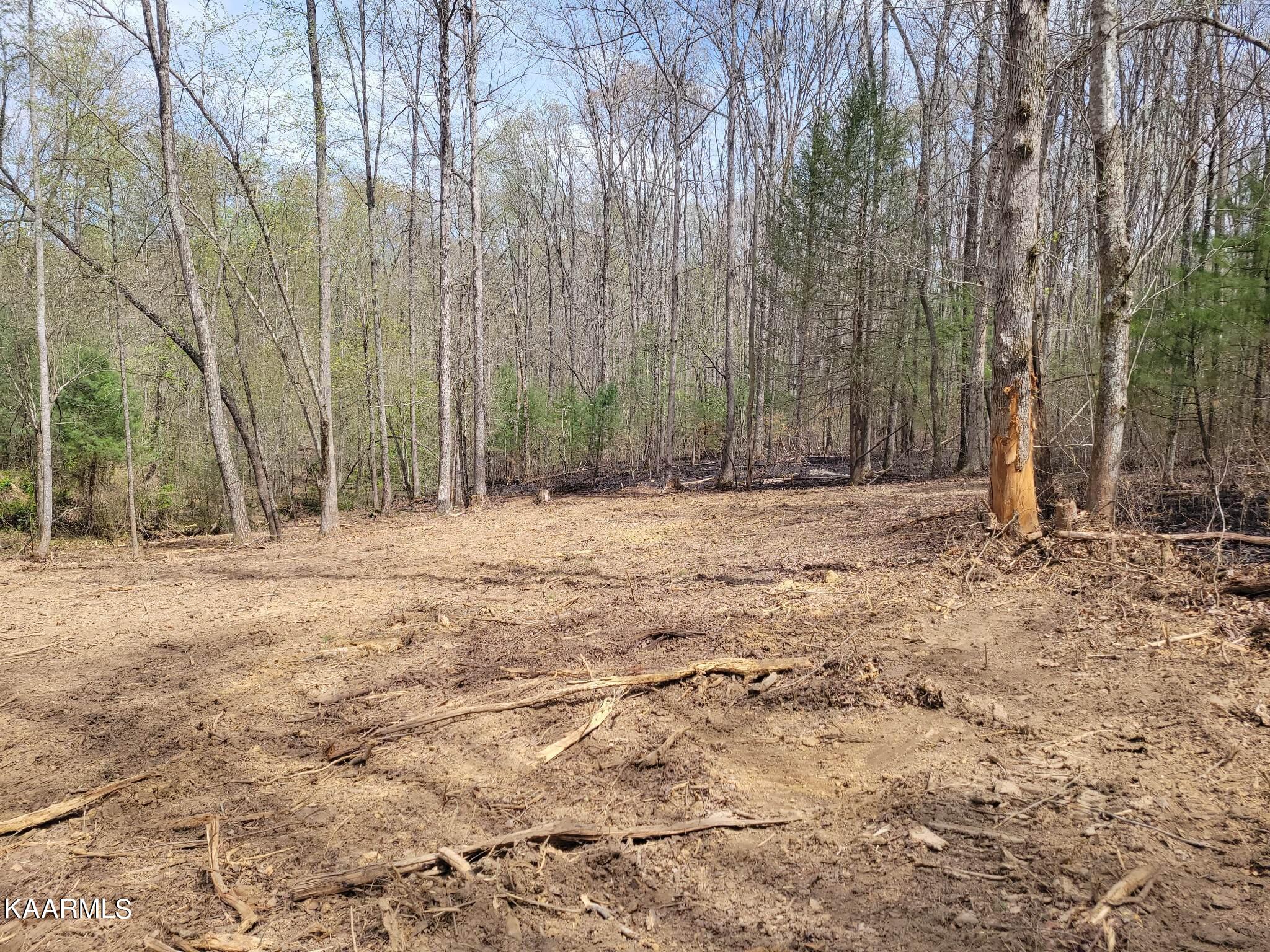 1386 Old Deerlodge Pike Deer Lodge TN 37726