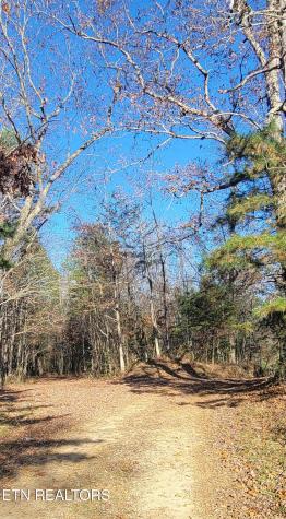 Kidd Mill Road Oneida TN 37841