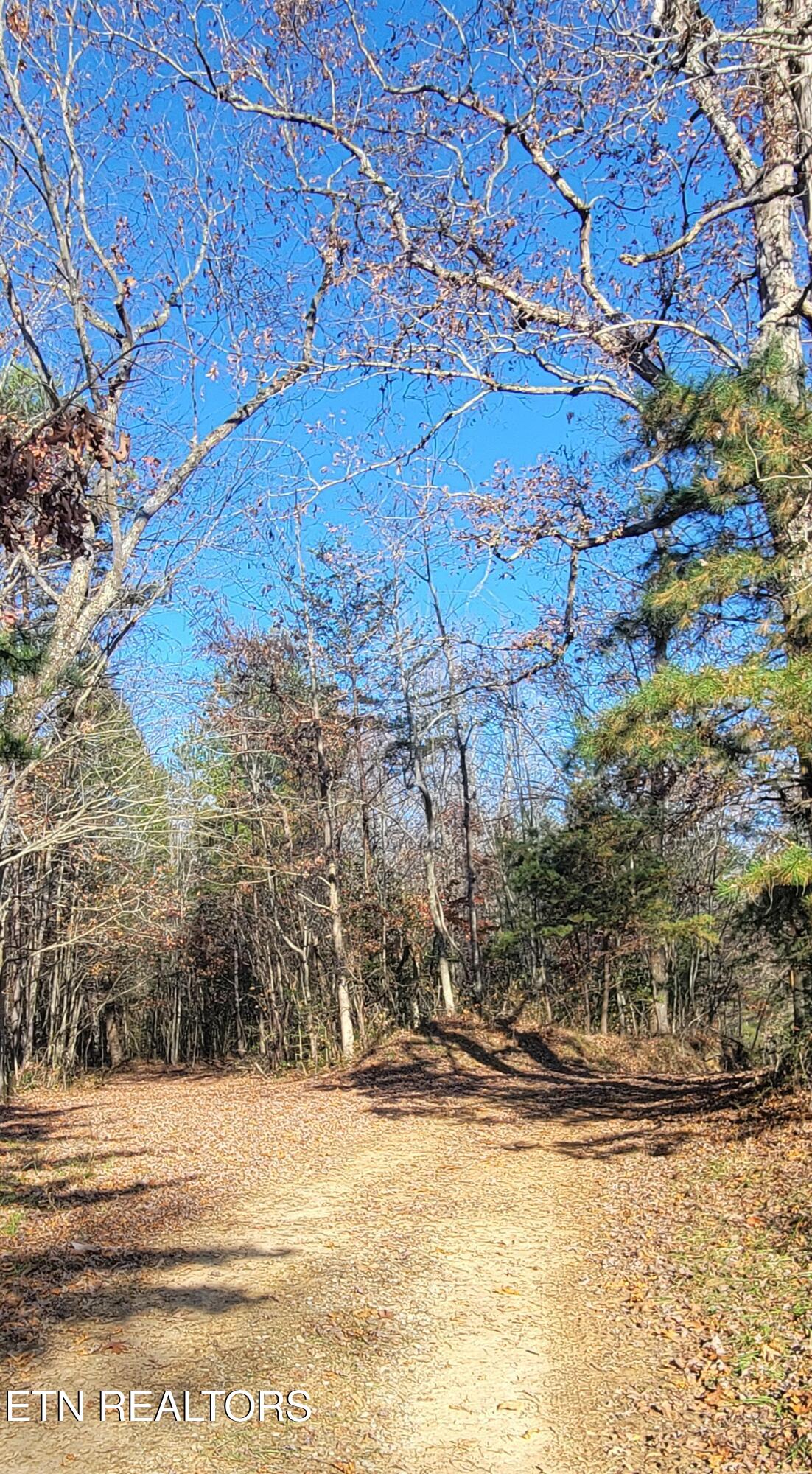 Kidd Mill Road Oneida TN 37841