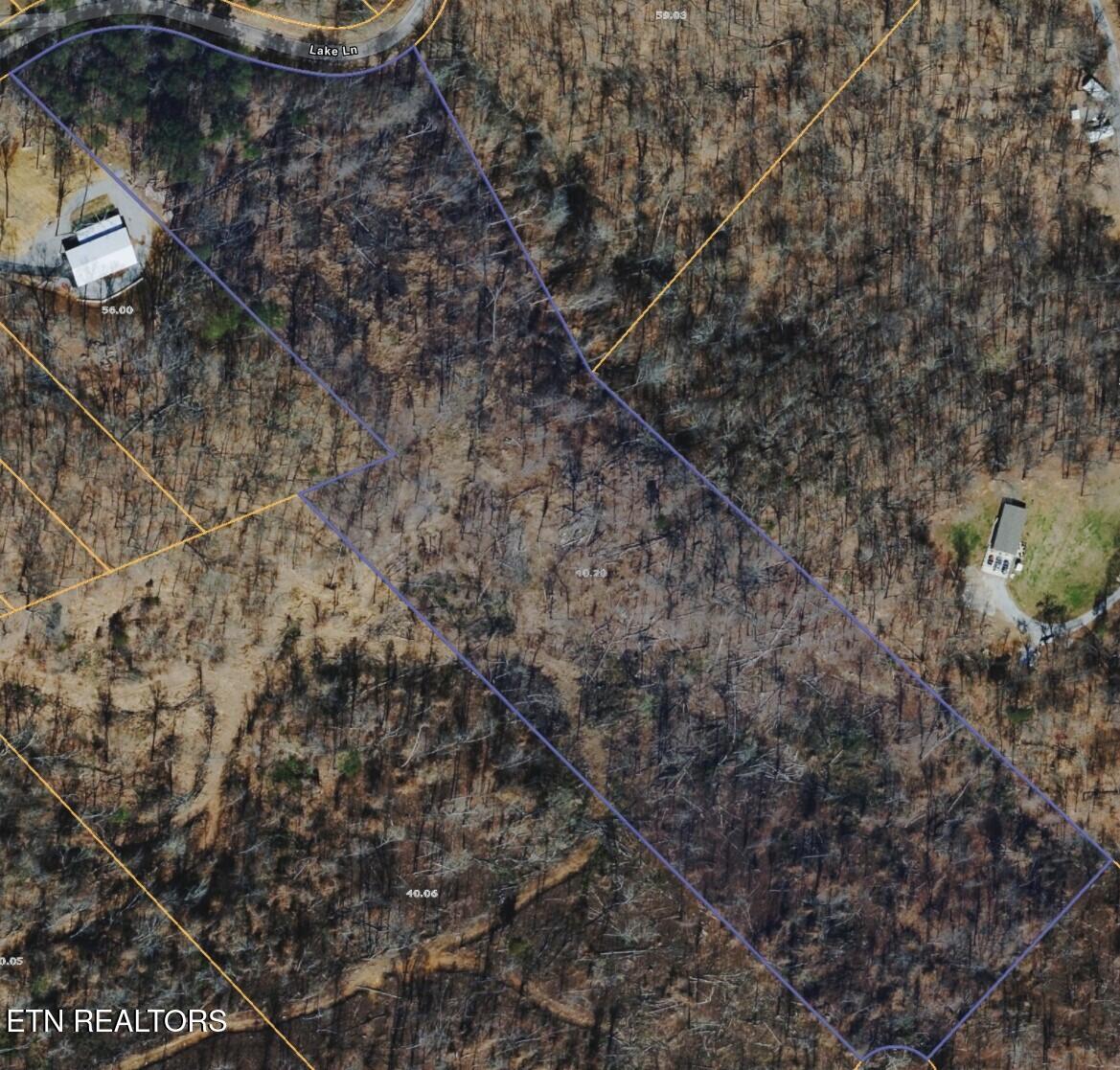 Lake Lane New Tazewell TN 37825