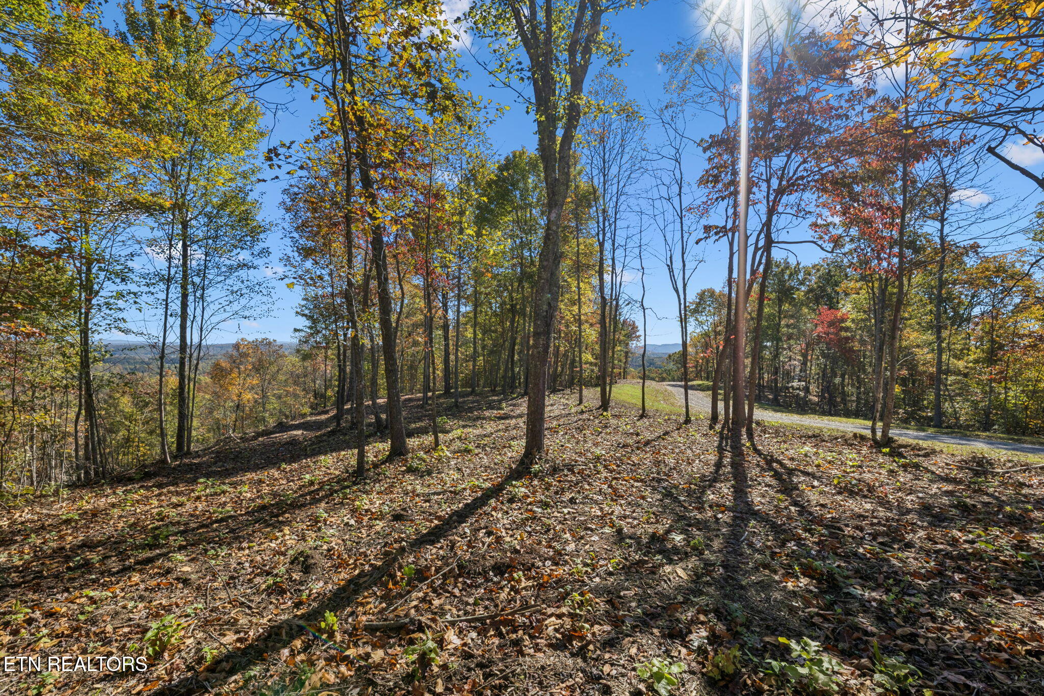 Sheep Ranch Road Robbins TN 37852