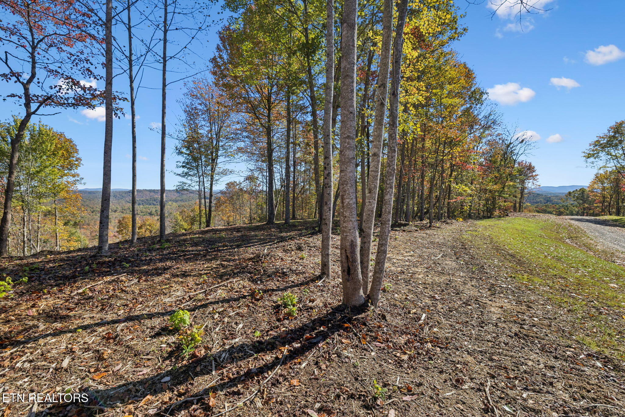 Sheep Ranch Road Robbins TN 37852