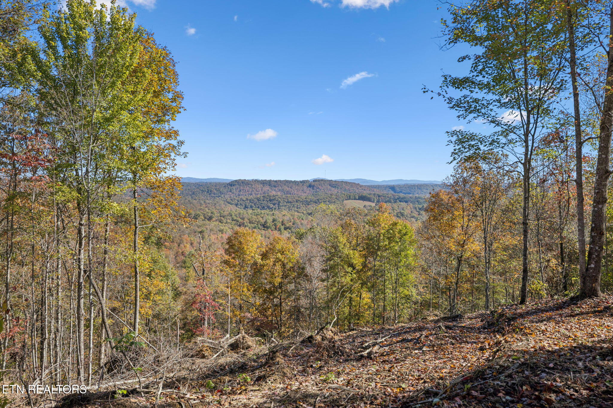 Sheep Ranch Road Robbins TN 37852