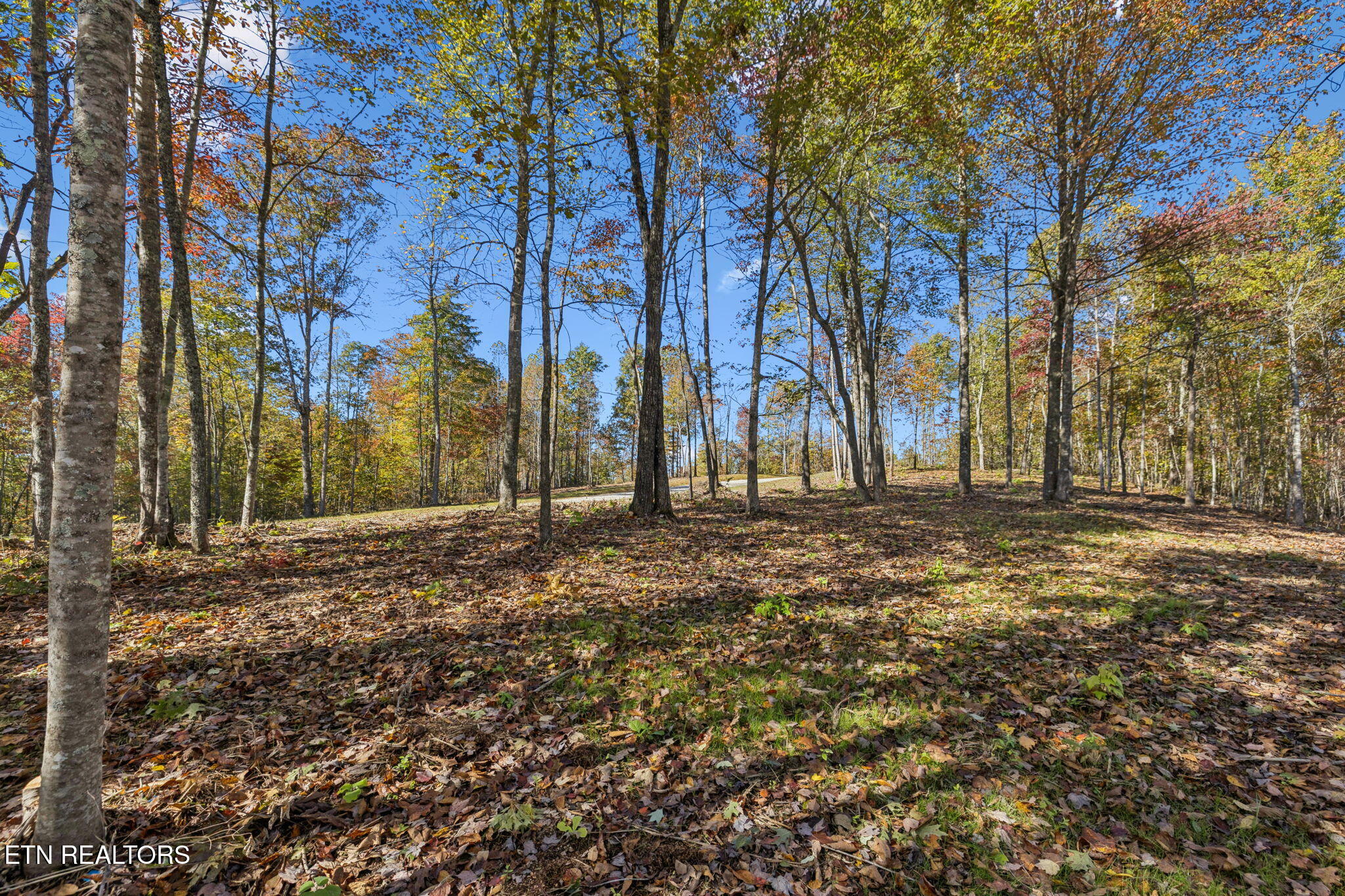 Sheep Ranch Road Robbins TN 37852