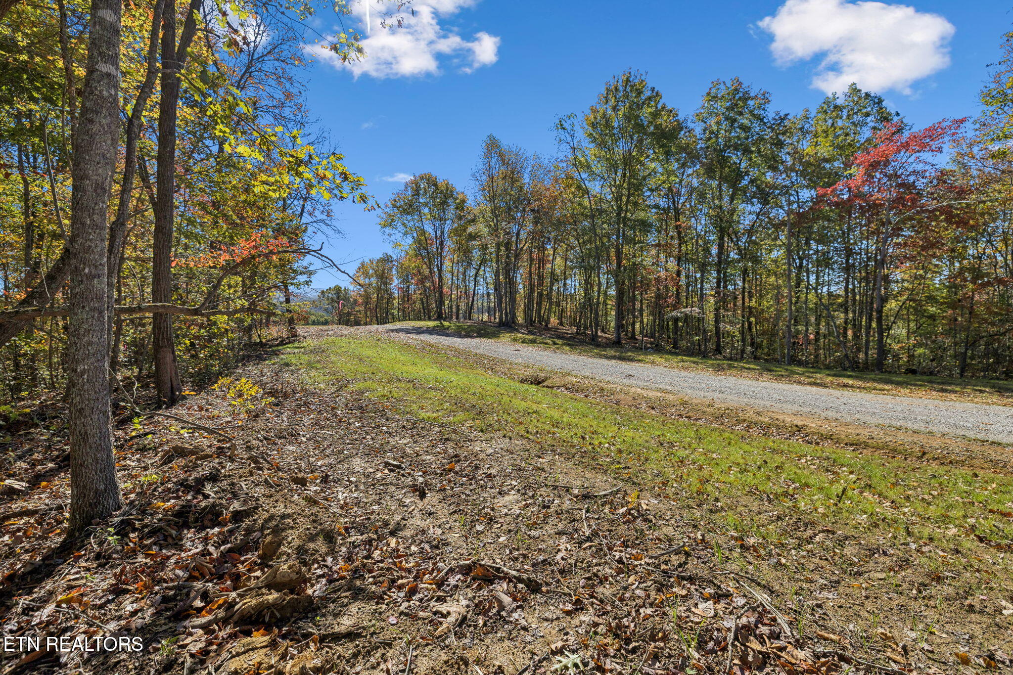 Sheep Ranch Road Robbins TN 37852