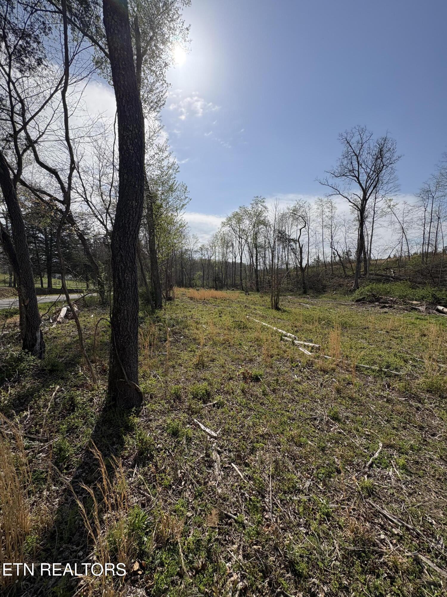 706 Arwine Road Decatur TN 37322