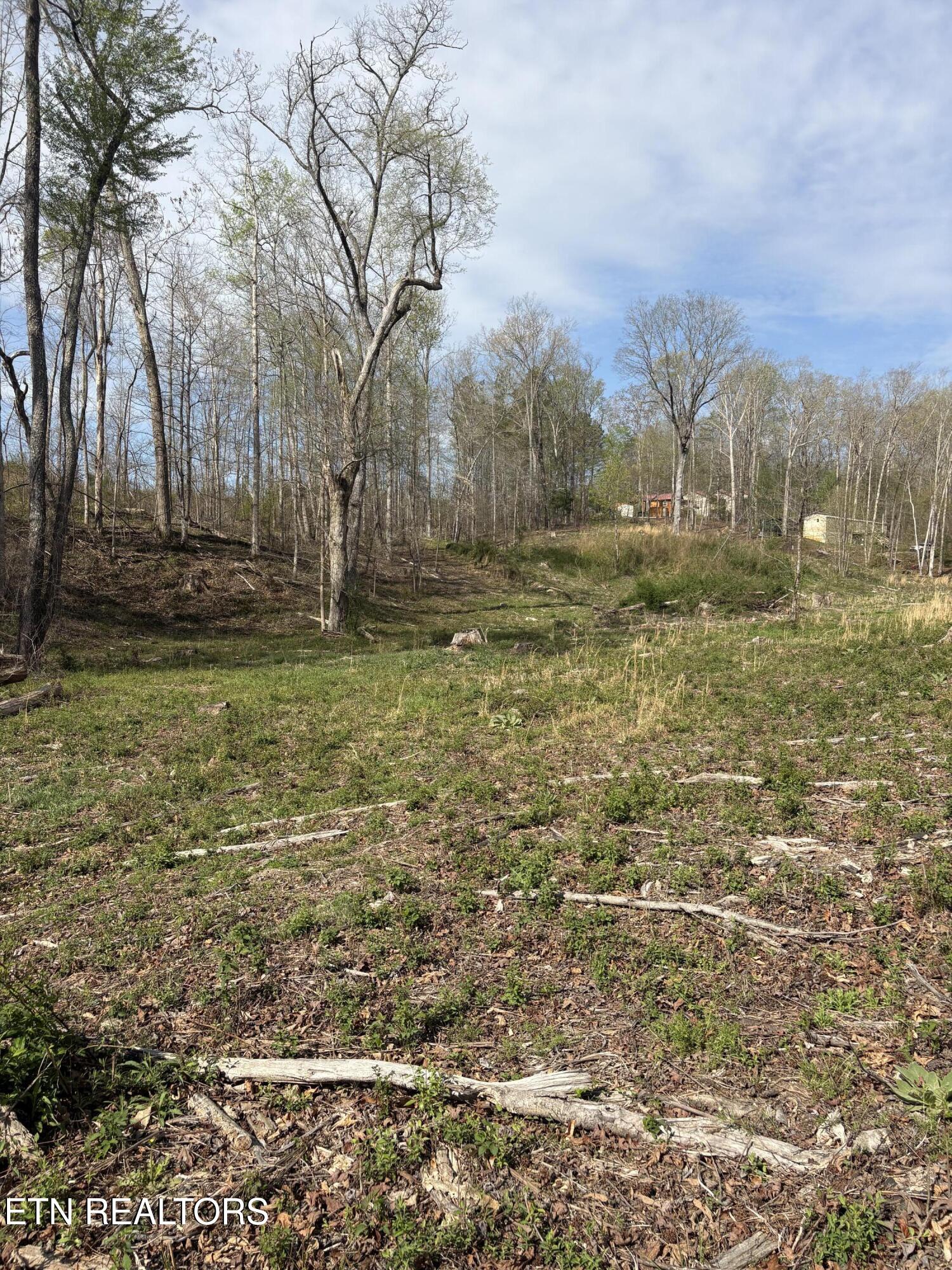 706 Arwine Road Decatur TN 37322