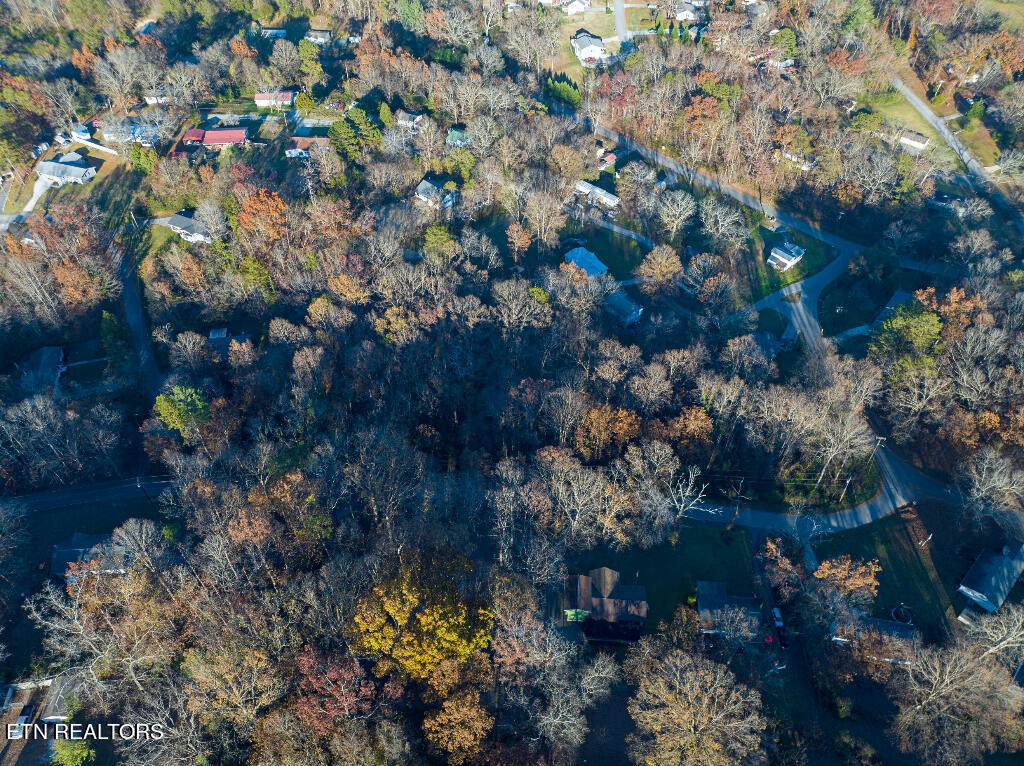 Lot 18 Greenwood Drive Rockwood TN 37854