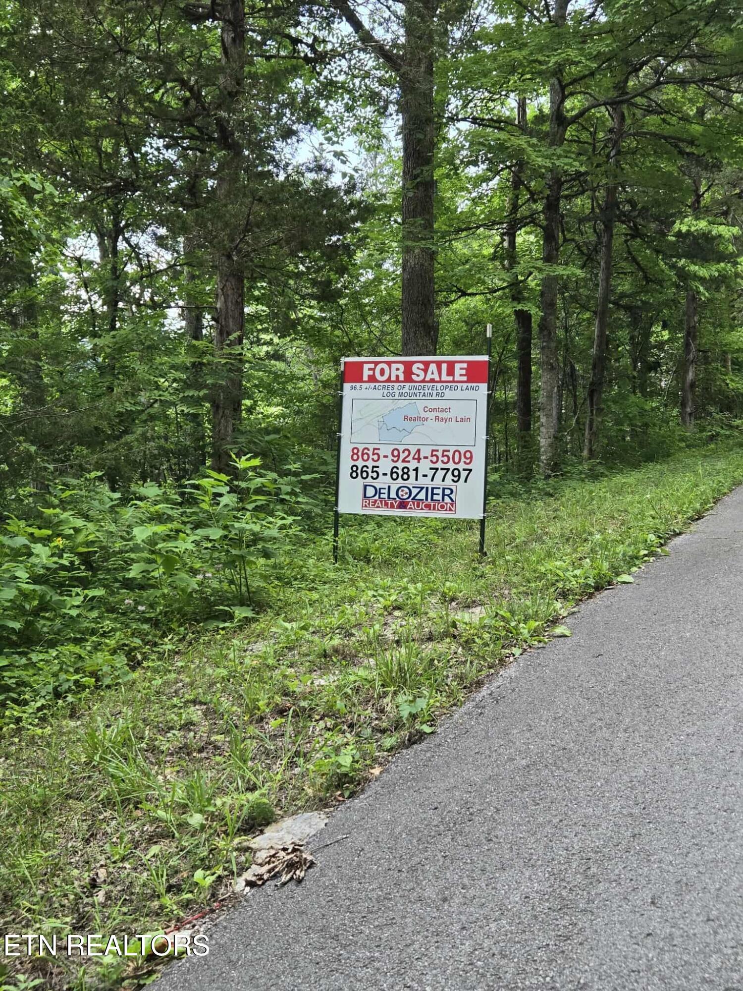 Log Mountain Road Washburn TN 37888