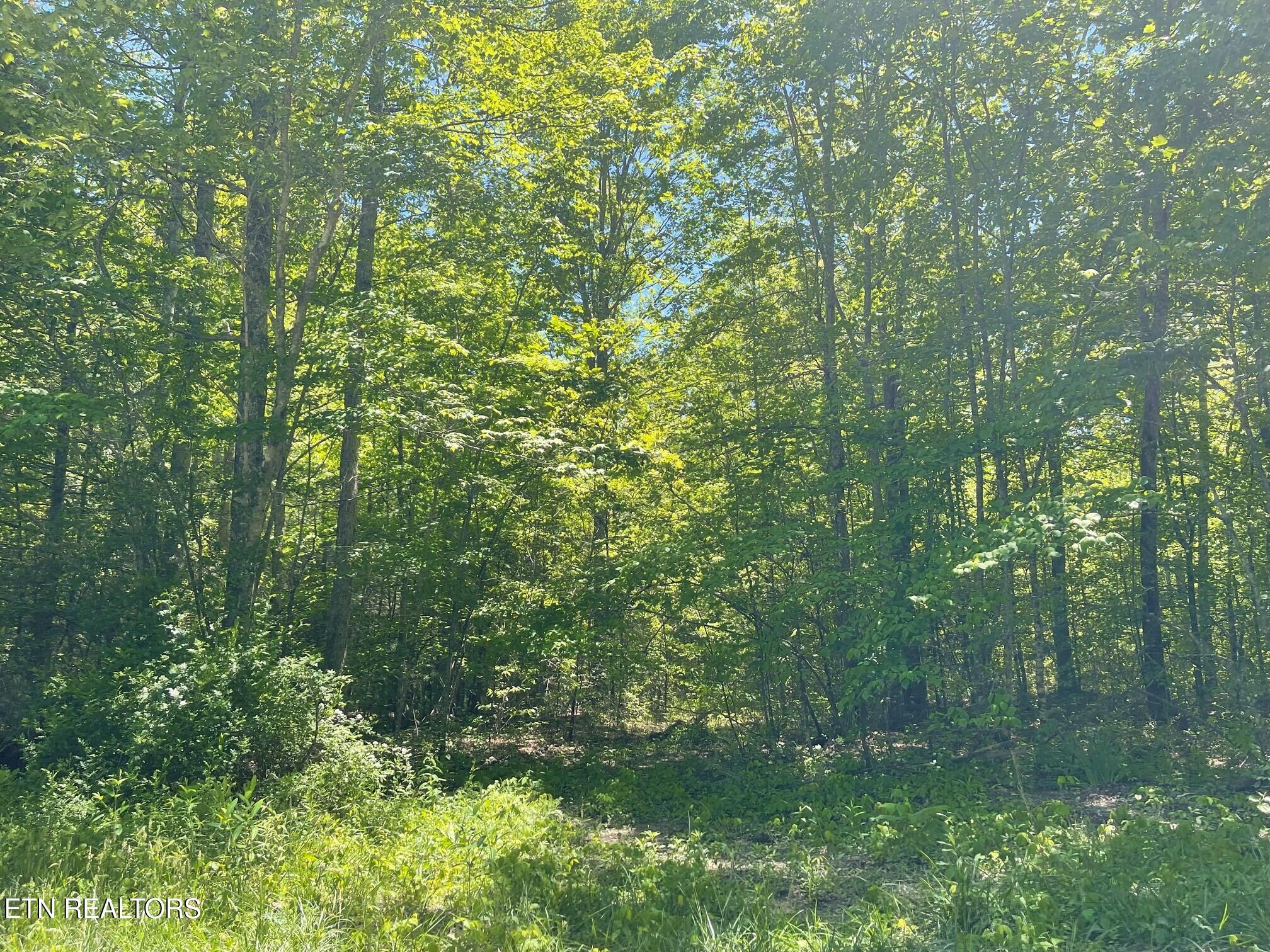 Rob Watson Road Oneida TN 37841