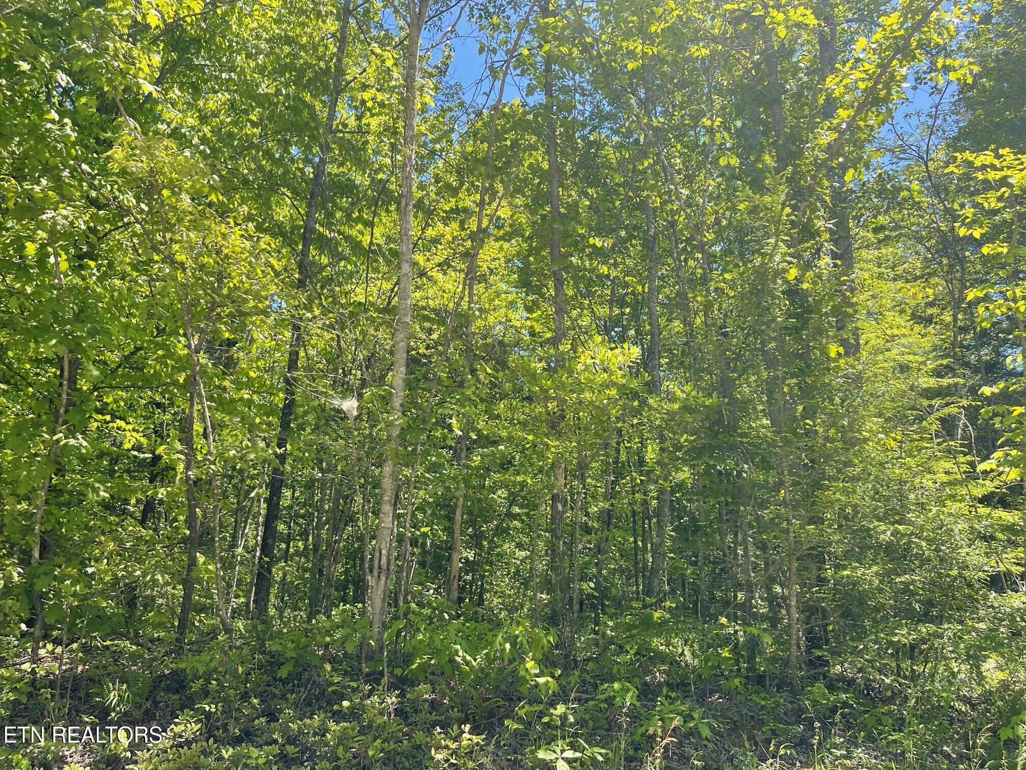 Rob Watson Road Oneida TN 37841