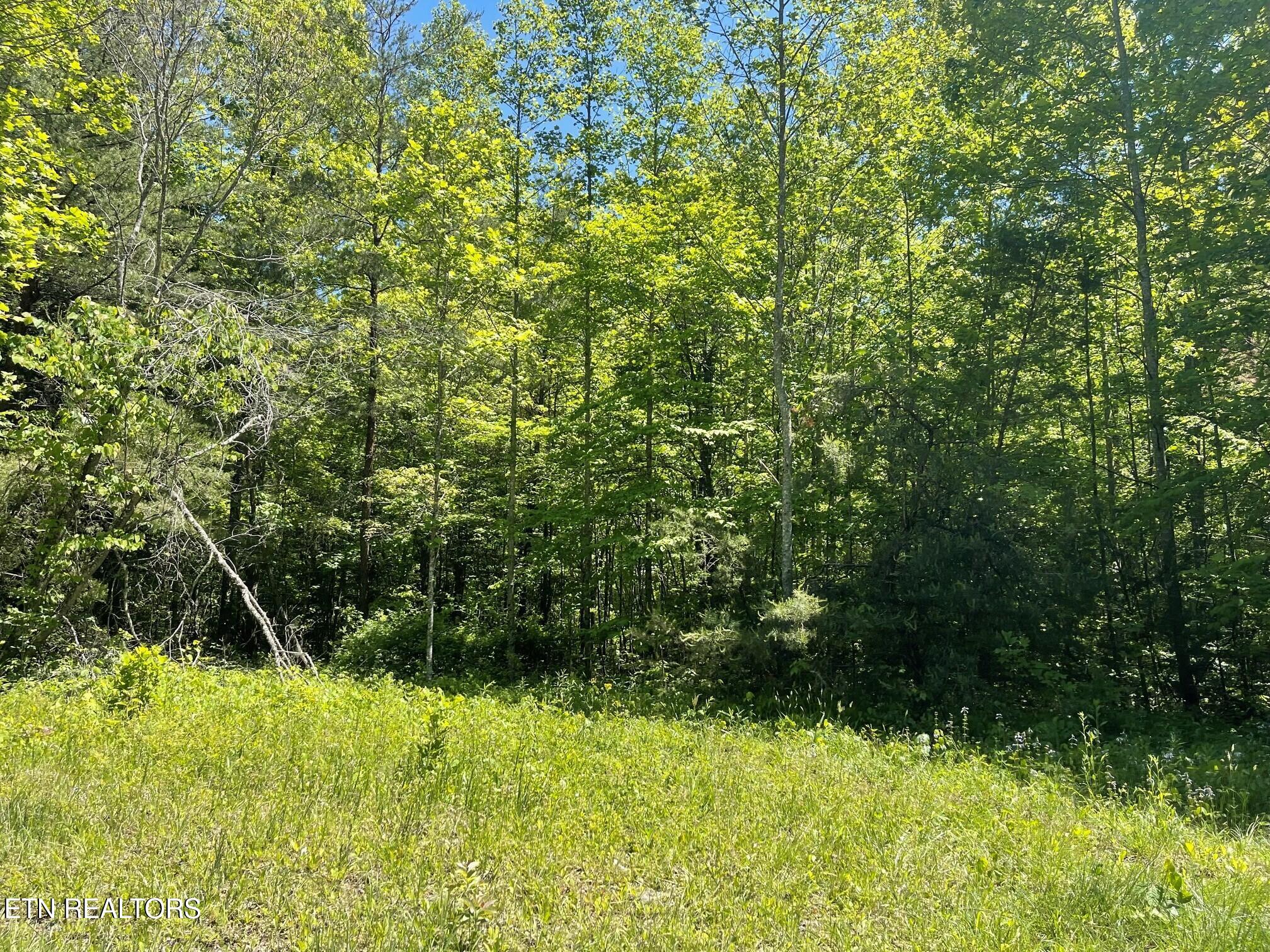 Rob Watson Road Oneida TN 37841