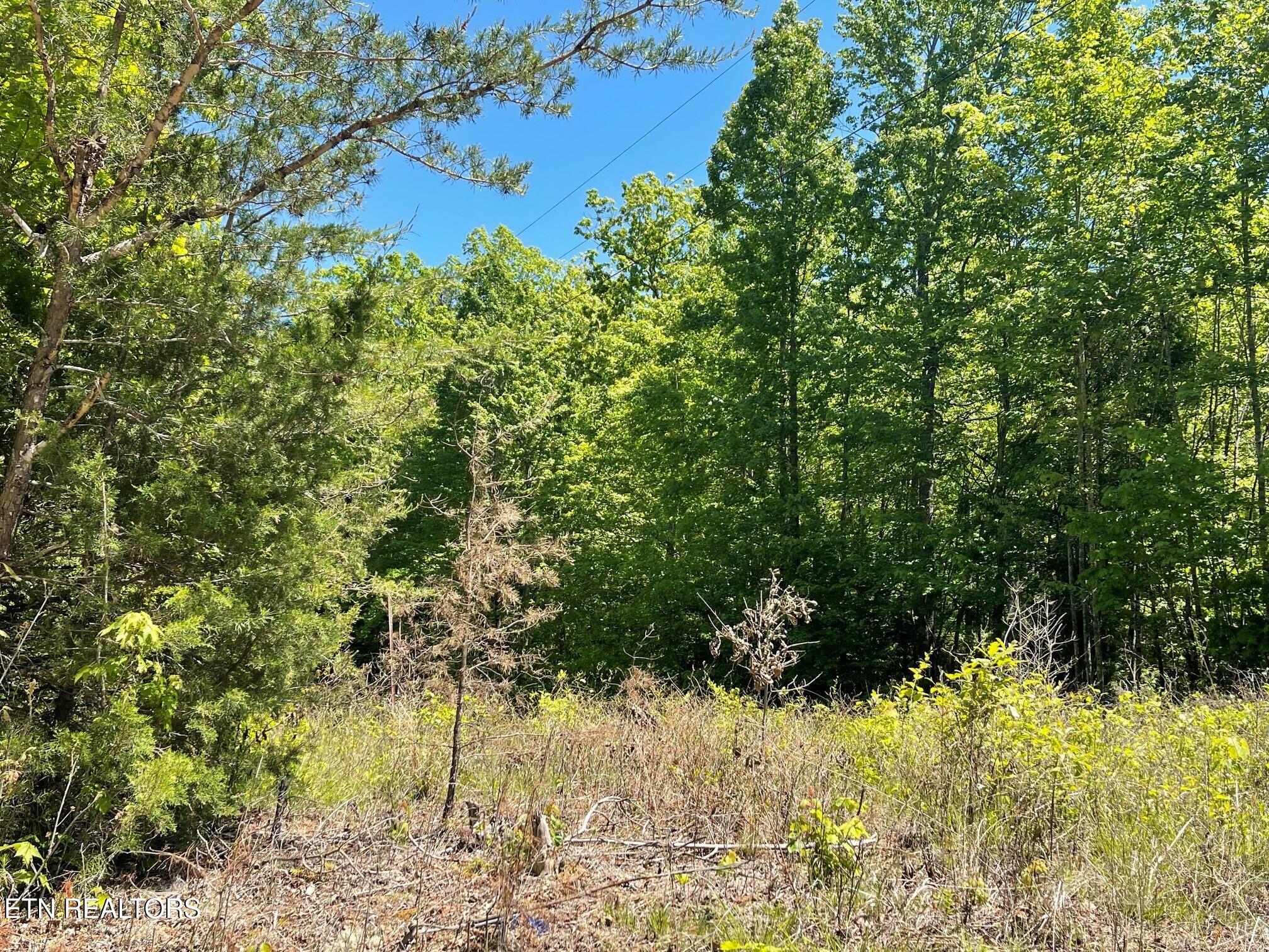 Rob Watson Road Oneida TN 37841