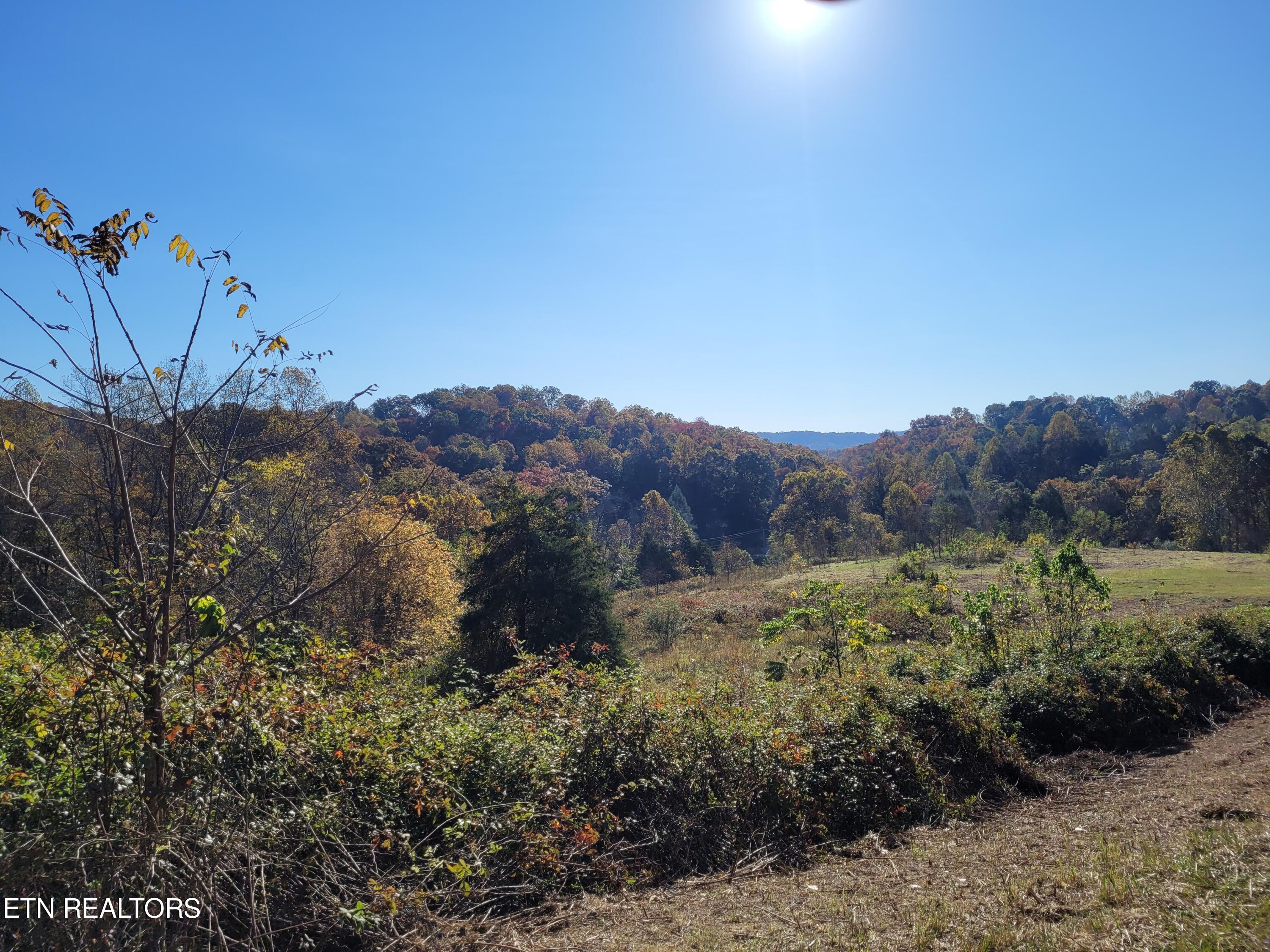 715 Mill Creek Road Andersonville TN 37705