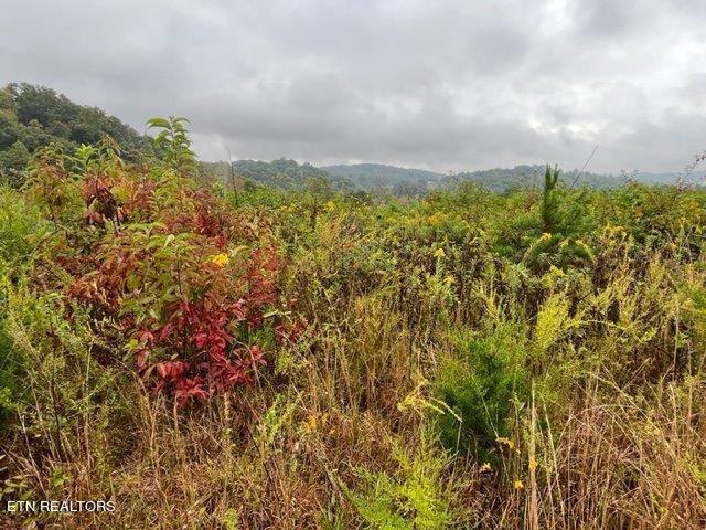 715 Mill Creek Road Andersonville TN 37705
