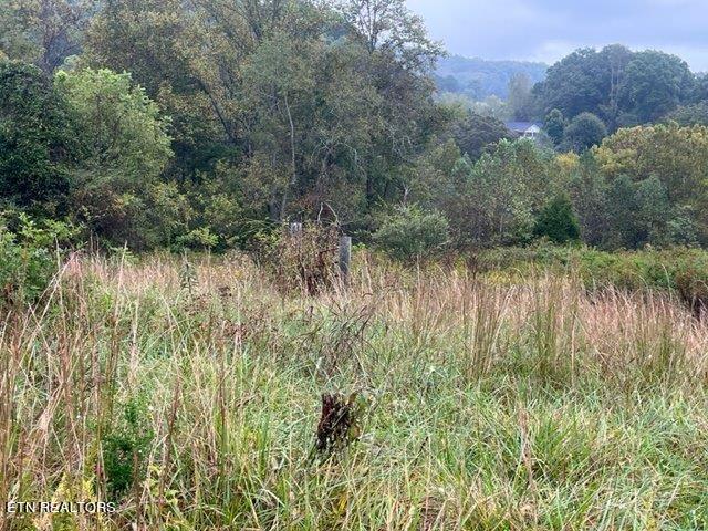 715 Mill Creek Road Andersonville TN 37705