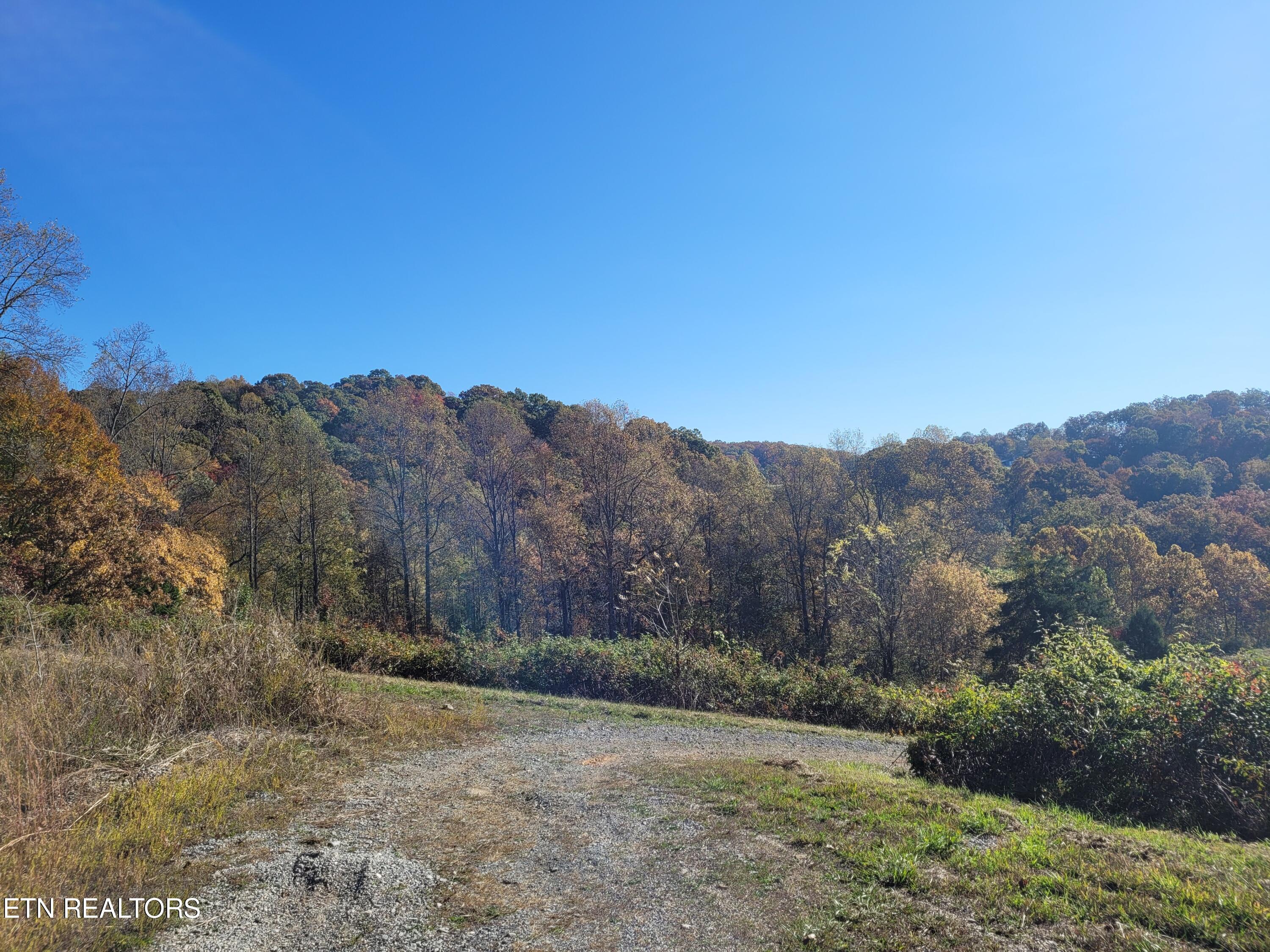 715 Mill Creek Road Andersonville TN 37705