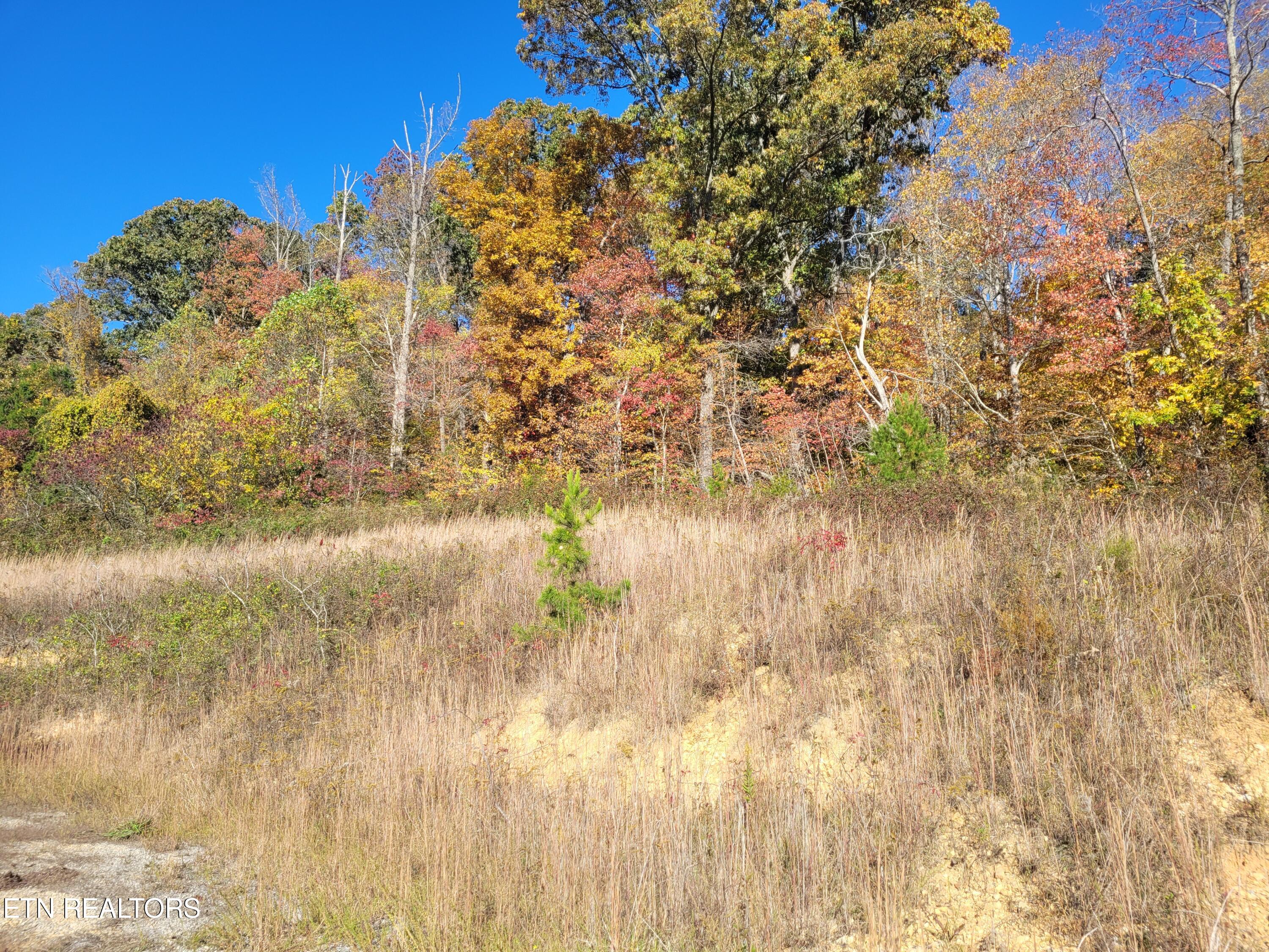 715 Mill Creek Road Andersonville TN 37705