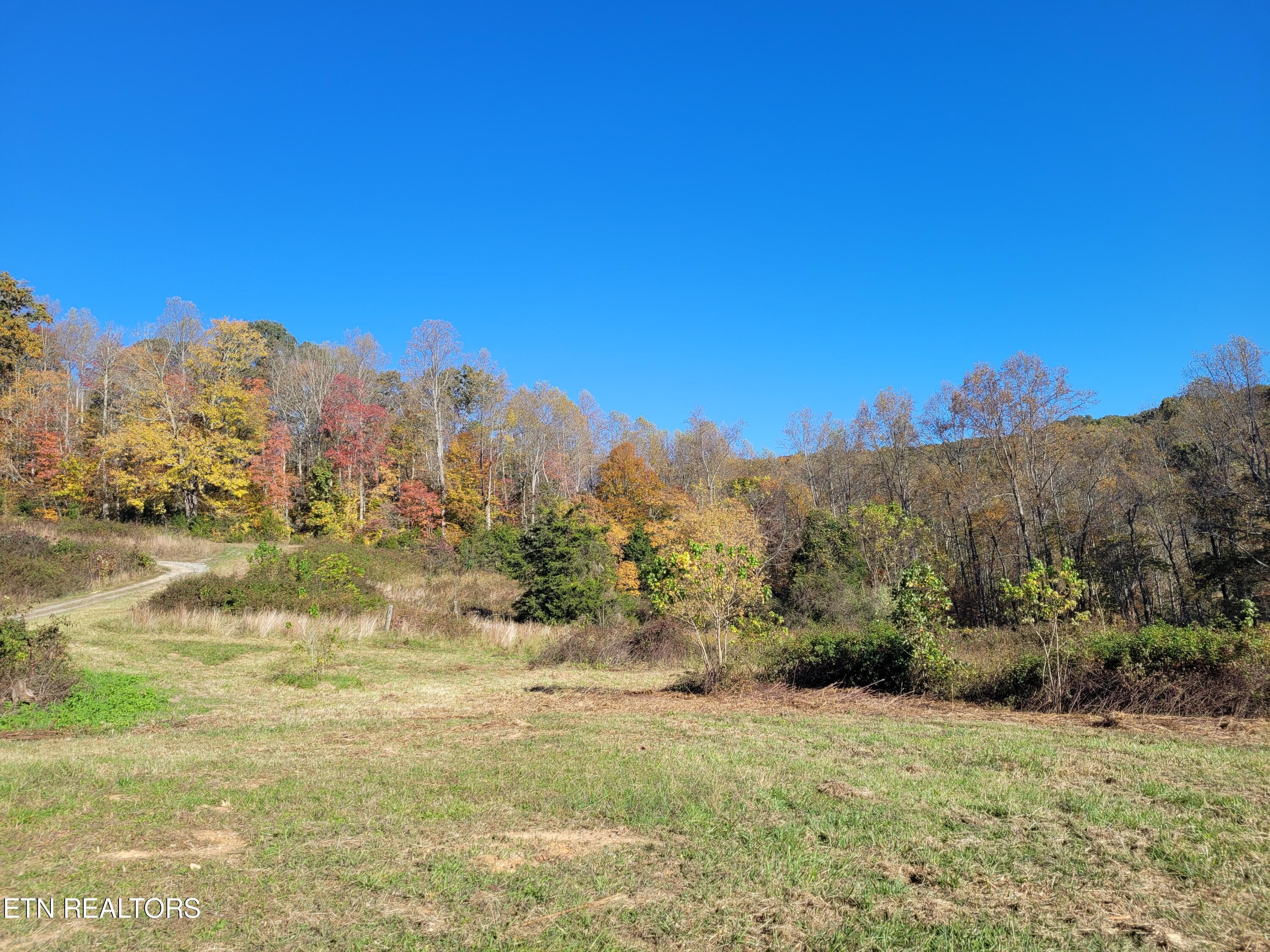 715 Mill Creek Road Andersonville TN 37705
