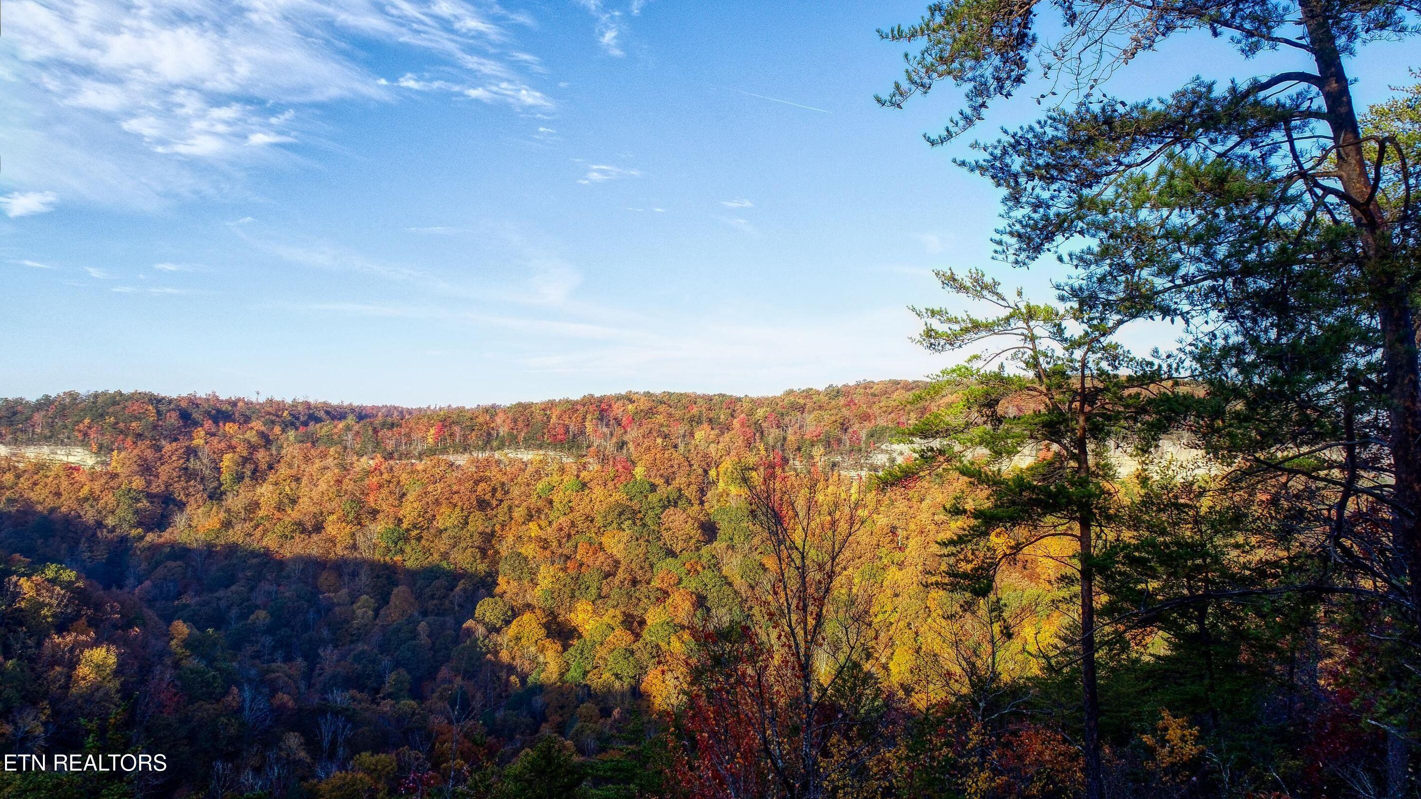 Grandview Way Jamestown TN 38556