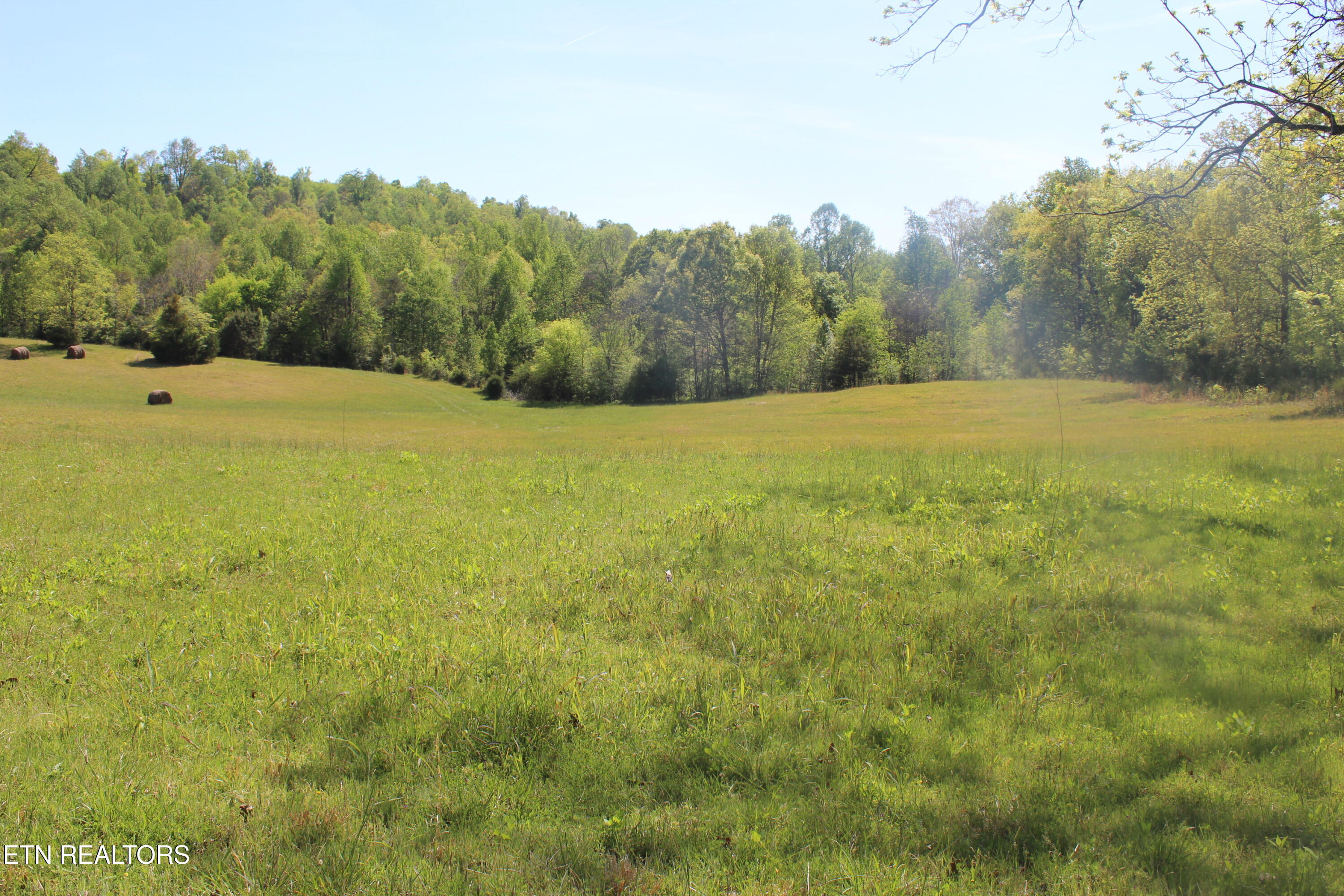3740 Wayne Bryant Road Louisville TN 37777