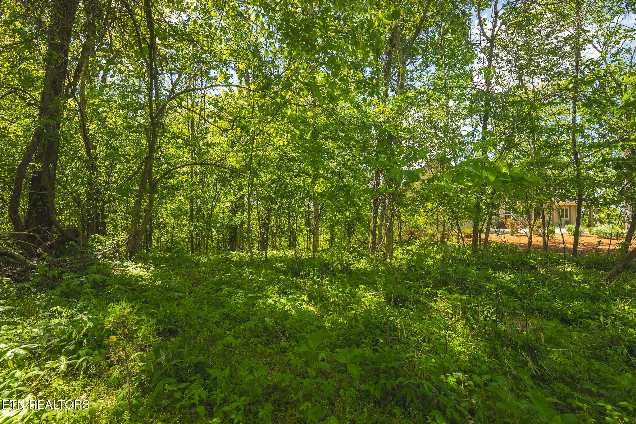 Lot 491 Magnolia Lane Sharps Chapel TN 37866