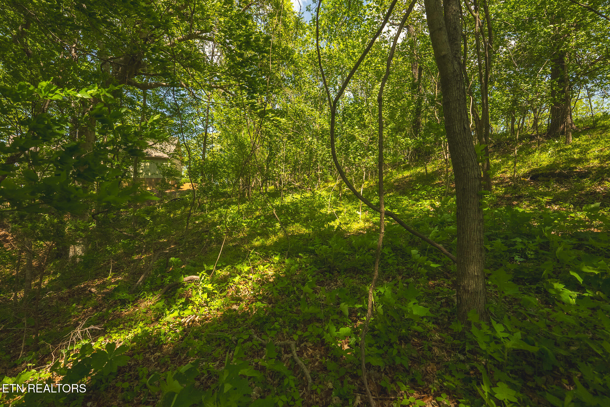 Lot 491 Magnolia Lane Sharps Chapel TN 37866