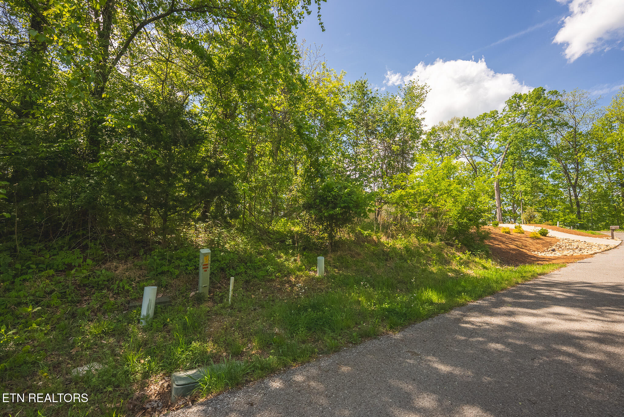 Lot 491 Magnolia Lane Sharps Chapel TN 37866