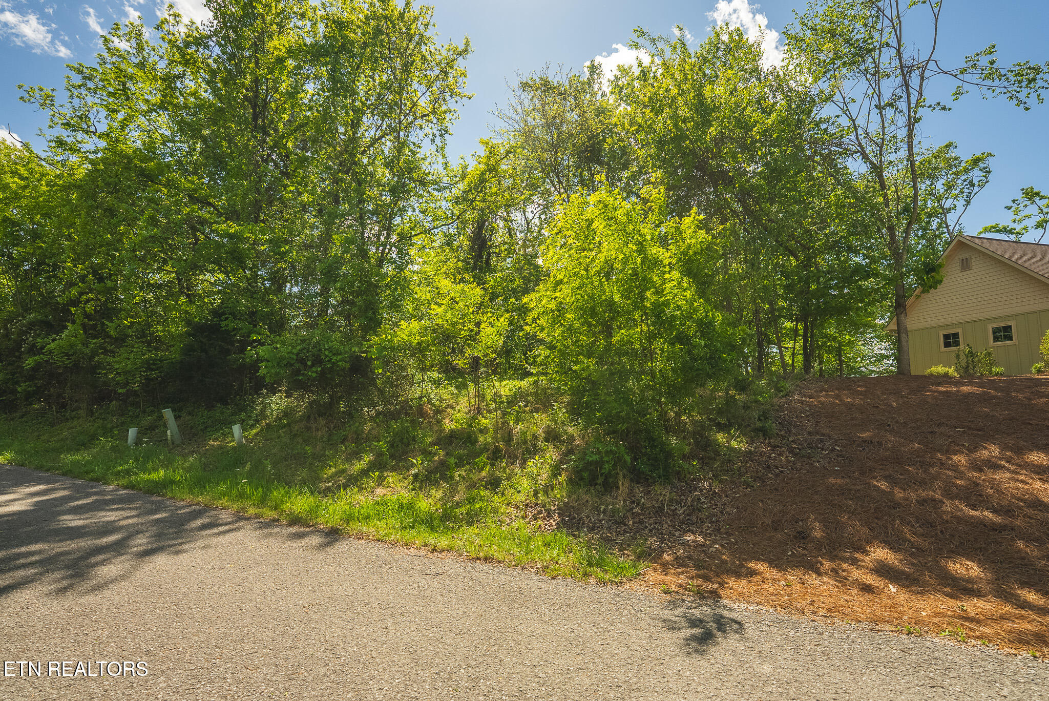 Lot 491 Magnolia Lane Sharps Chapel TN 37866