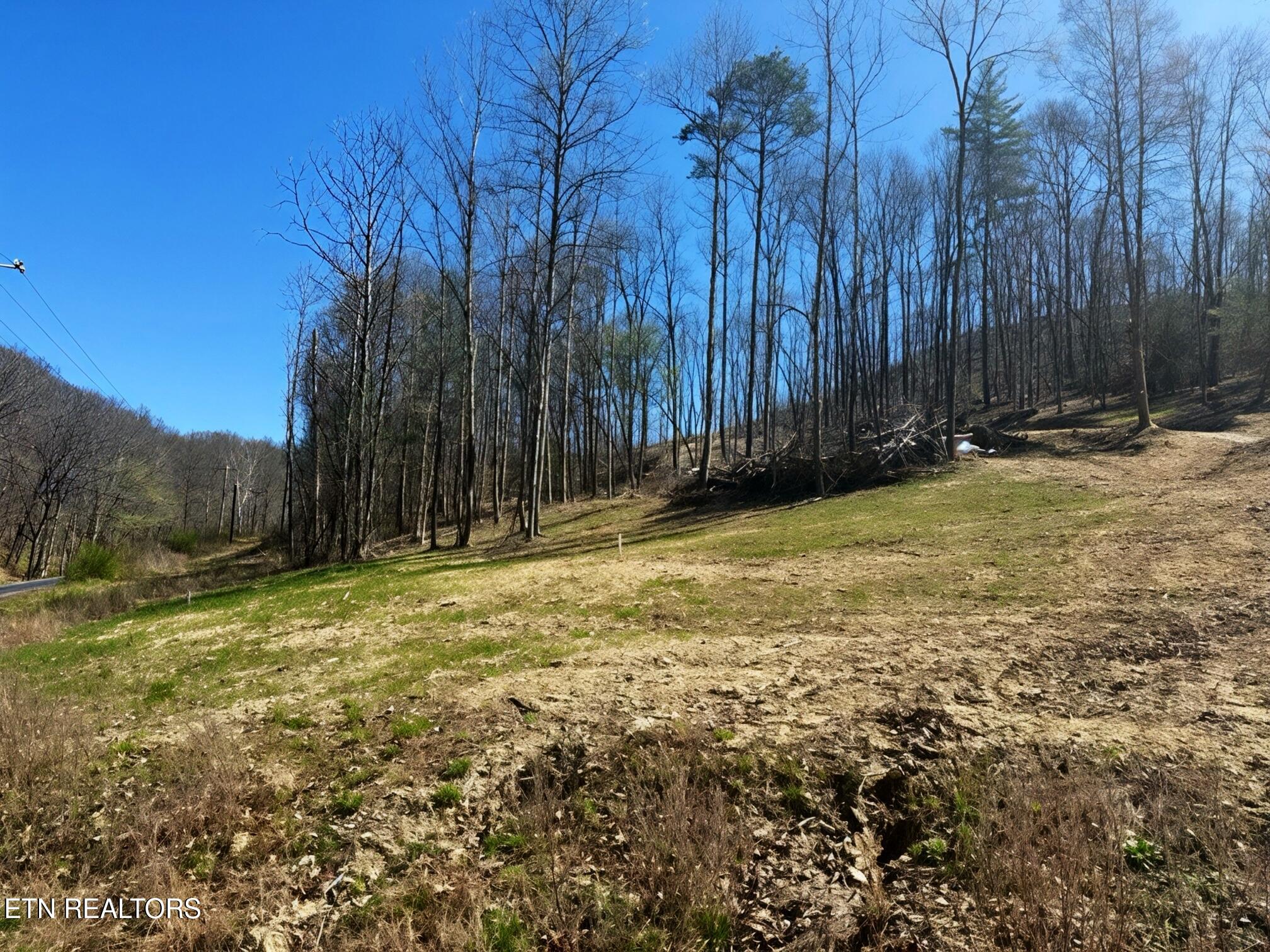 Lot 19-22 Demory Road Lafollette TN 37766