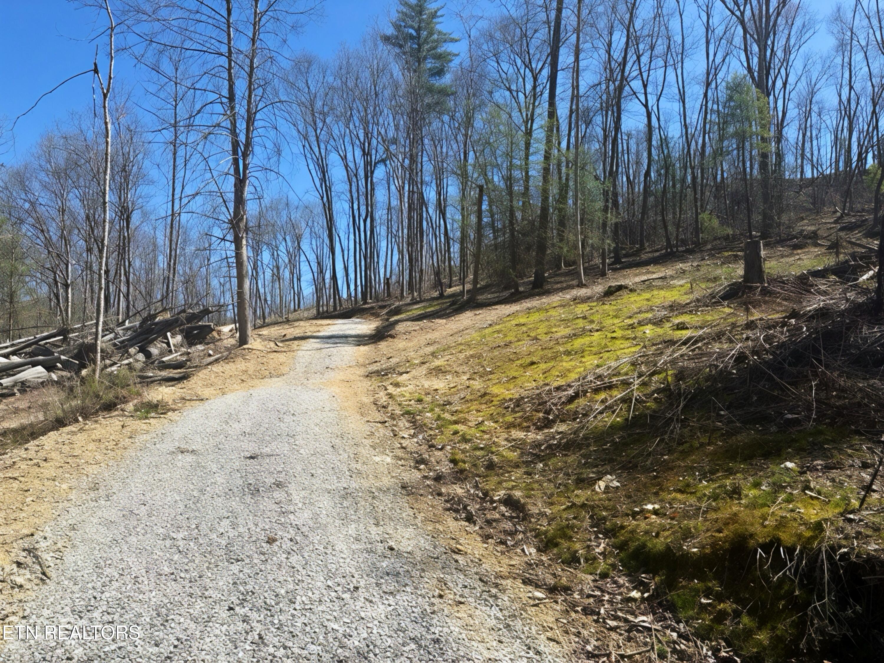 Lot 19-22 Demory Road Lafollette TN 37766