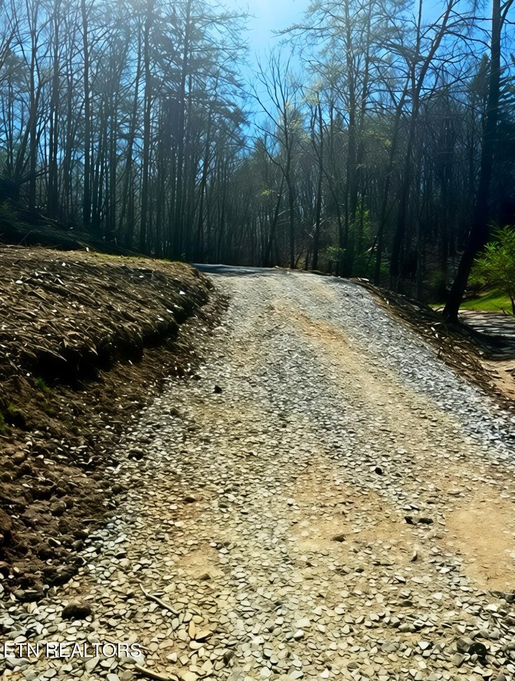 Lot 19-22 Demory Road Lafollette TN 37766