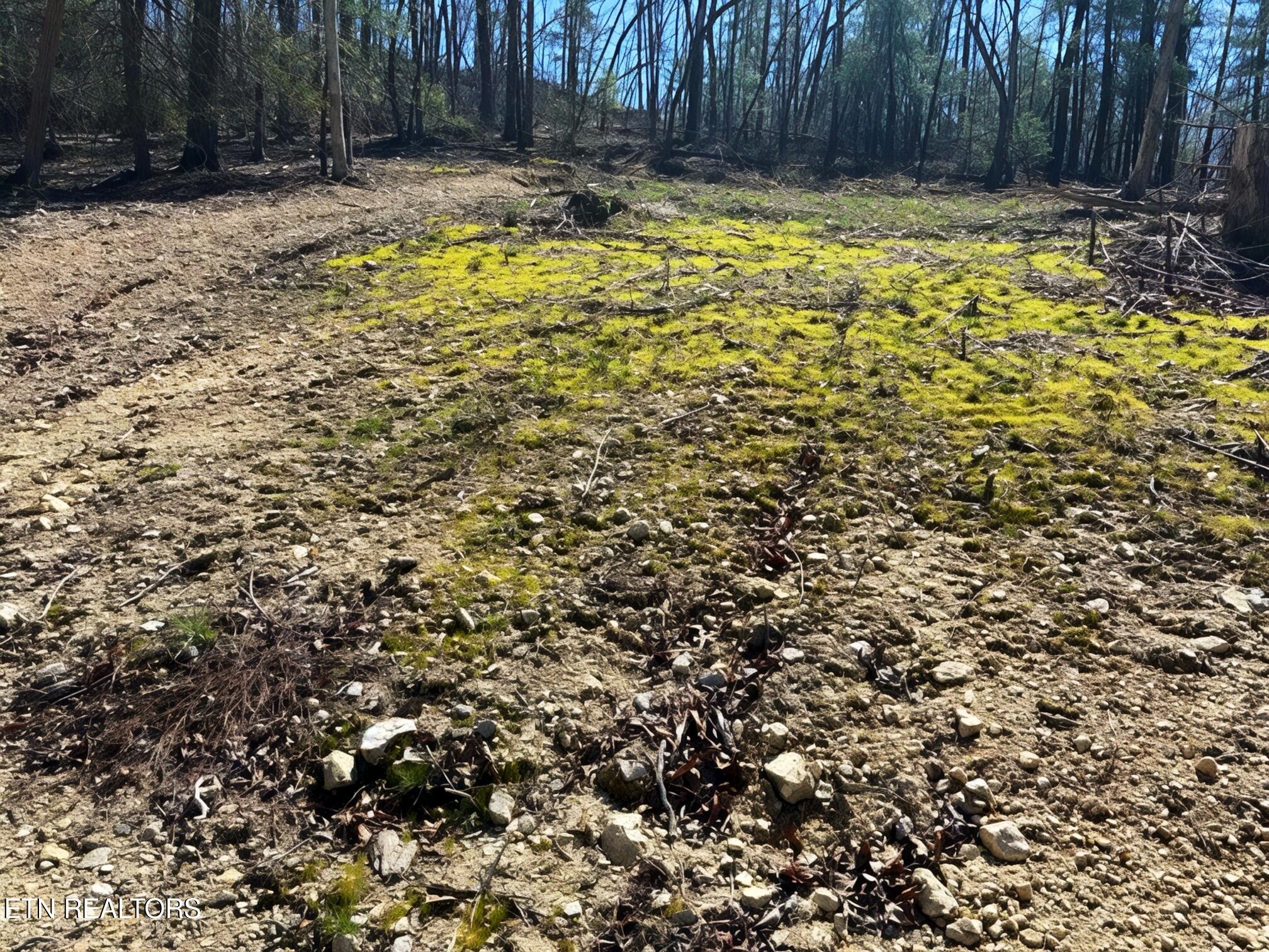 Lot 19-22 Demory Road Lafollette TN 37766