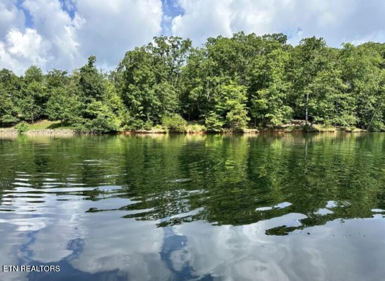 644 Waterfront Way Ten Mile TN 37880