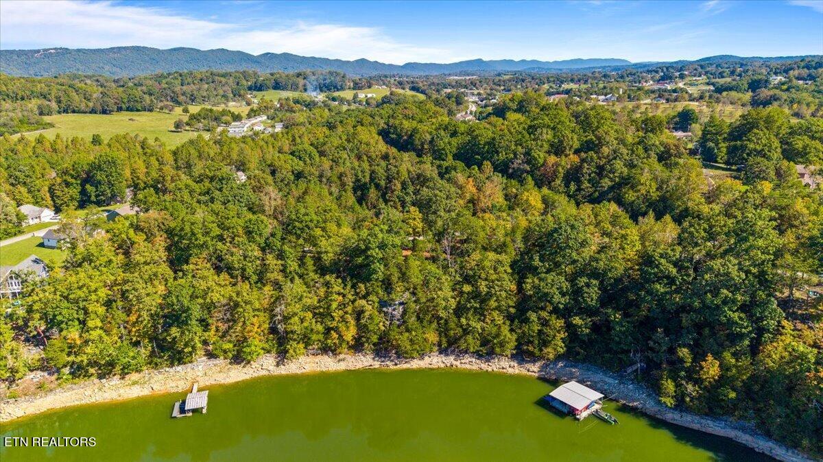 LOT1,2,2,3 Bluff Trace Jacksboro TN 37757