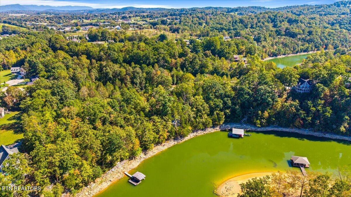 LOT1,2,2,3 Bluff Trace Jacksboro TN 37757