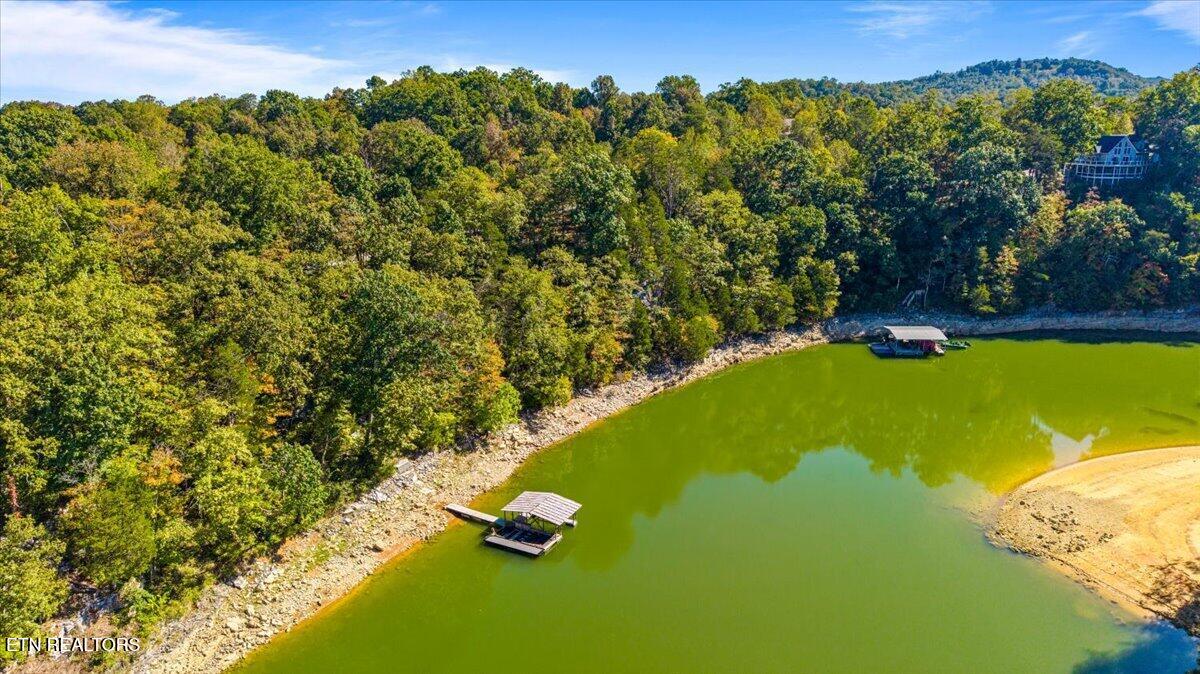 LOT1,2,2,3 Bluff Trace Jacksboro TN 37757