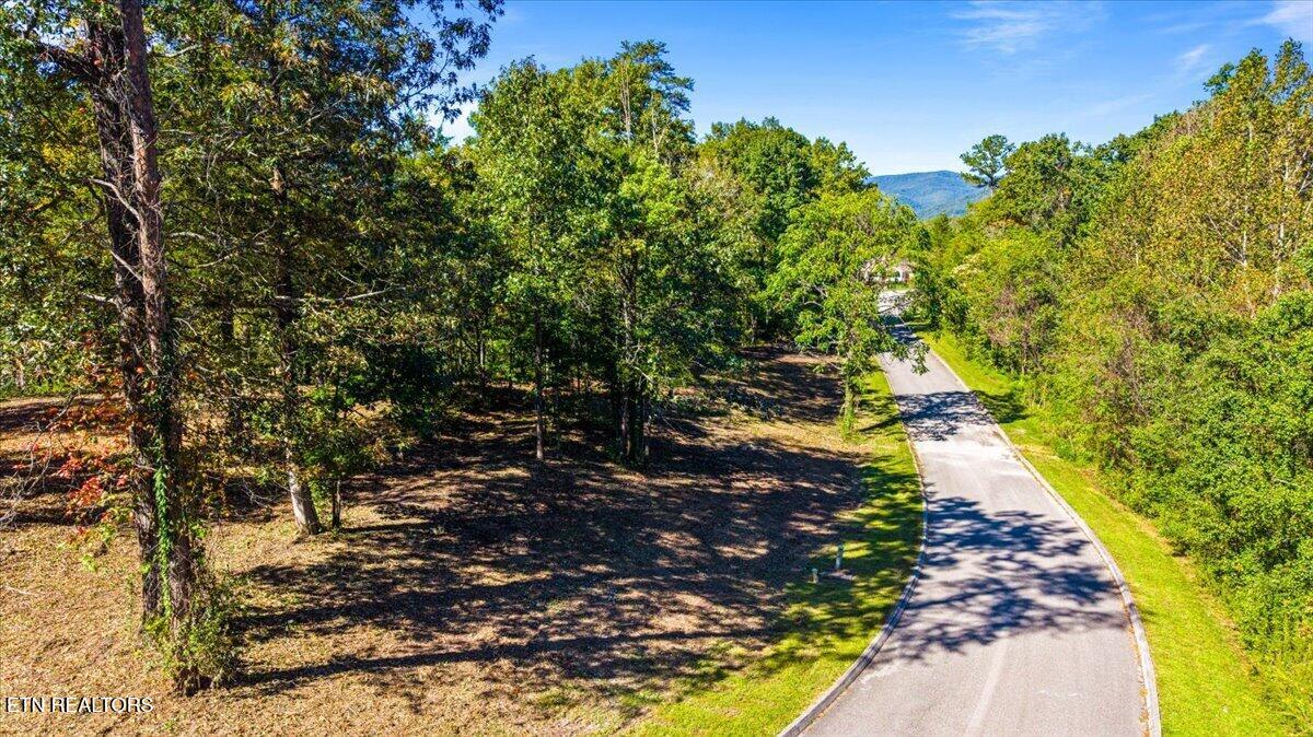 LOT1,2,2,3 Bluff Trace Jacksboro TN 37757