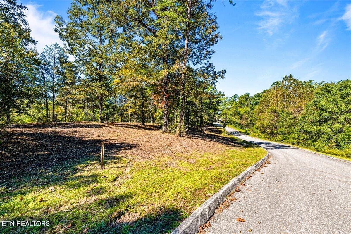 LOT1,2,2,3 Bluff Trace Jacksboro TN 37757