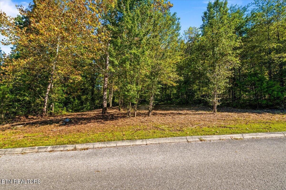 LOT1,2,2,3 Bluff Trace Jacksboro TN 37757