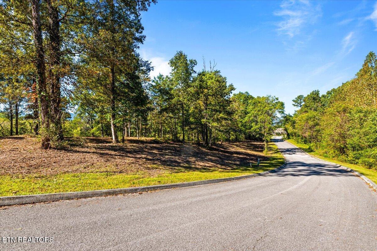 LOT1,2,2,3 Bluff Trace Jacksboro TN 37757