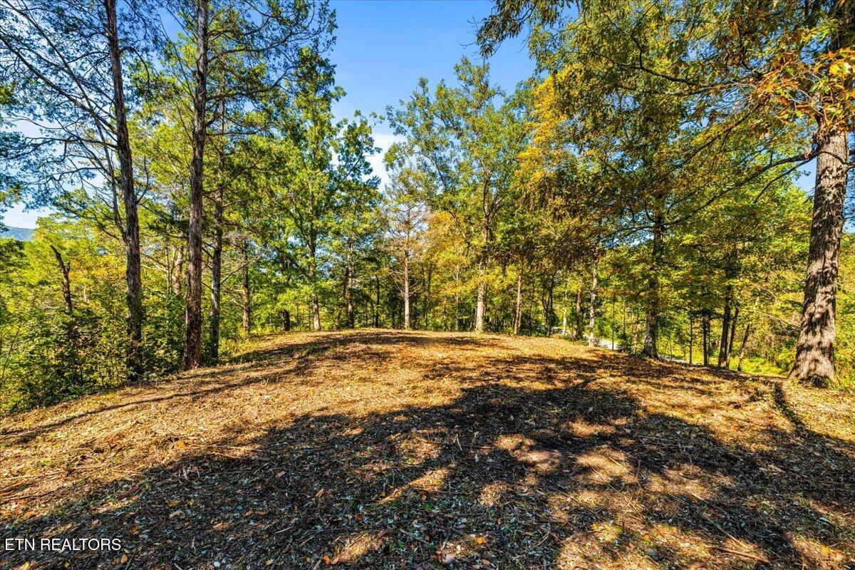 LOT1,2,2,3 Bluff Trace Jacksboro TN 37757